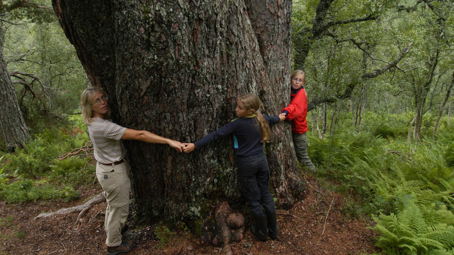 Turforslag med bil fra Molde: Mardalsfossen og Aursjøveien