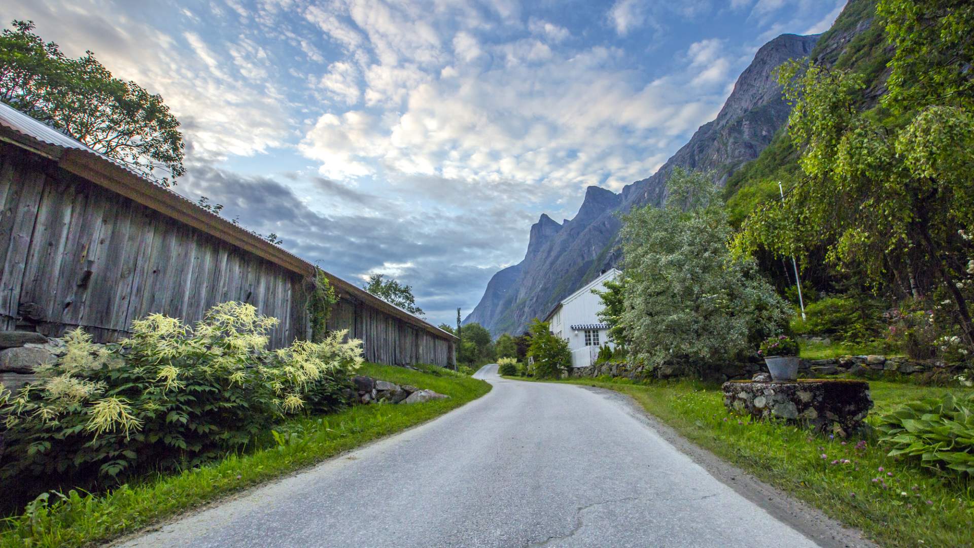 Aursjøvegen fjellvei
