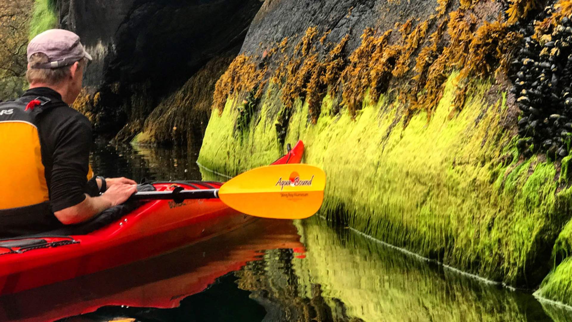 Geiranger Kayak Center – kajakkutleie og turer
