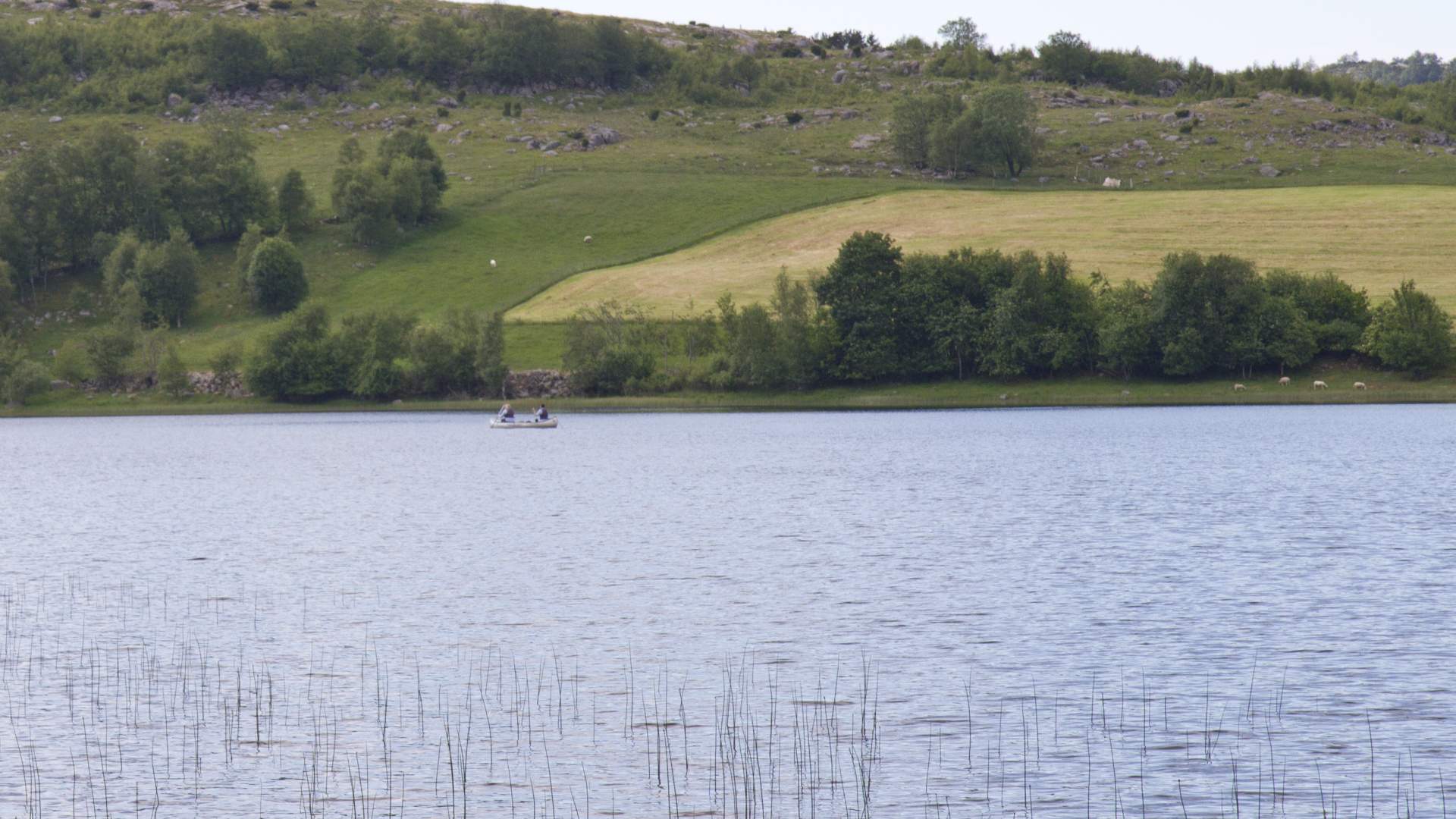 Kanoutleie i Sandnes