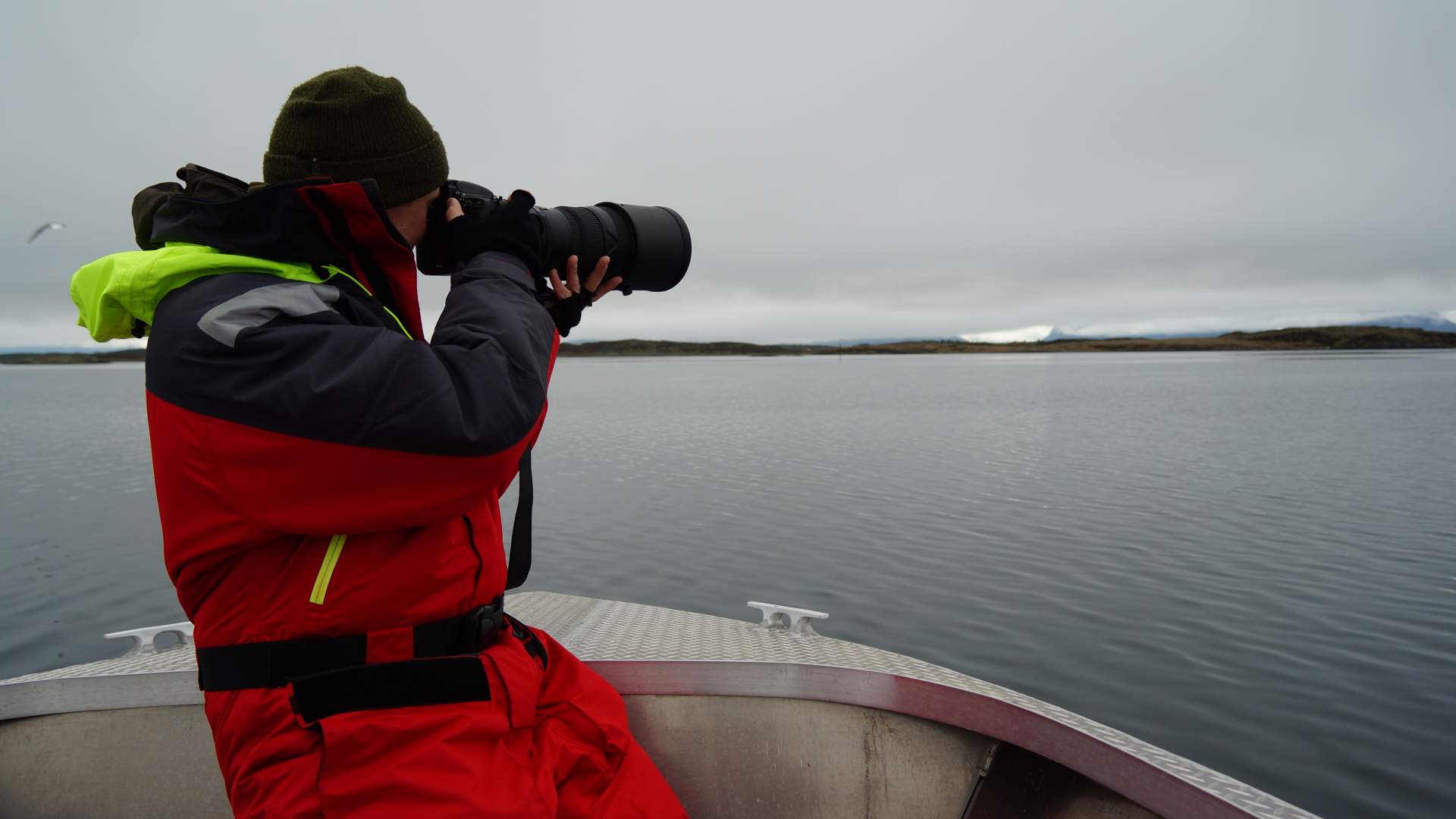 2-hour White Tailed Eagle Safari- Smøla Naturopplevelser