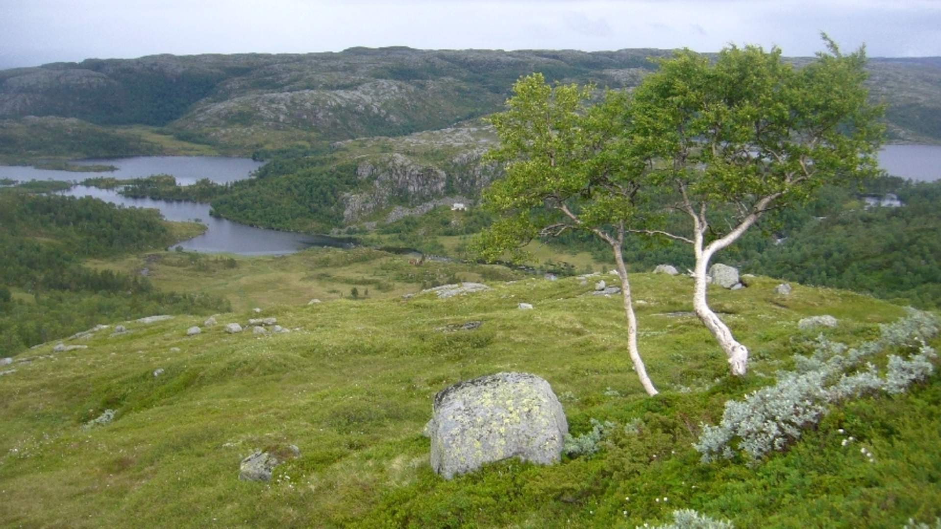 SVR - Ryfylke Hochland Naturschutzgebiet