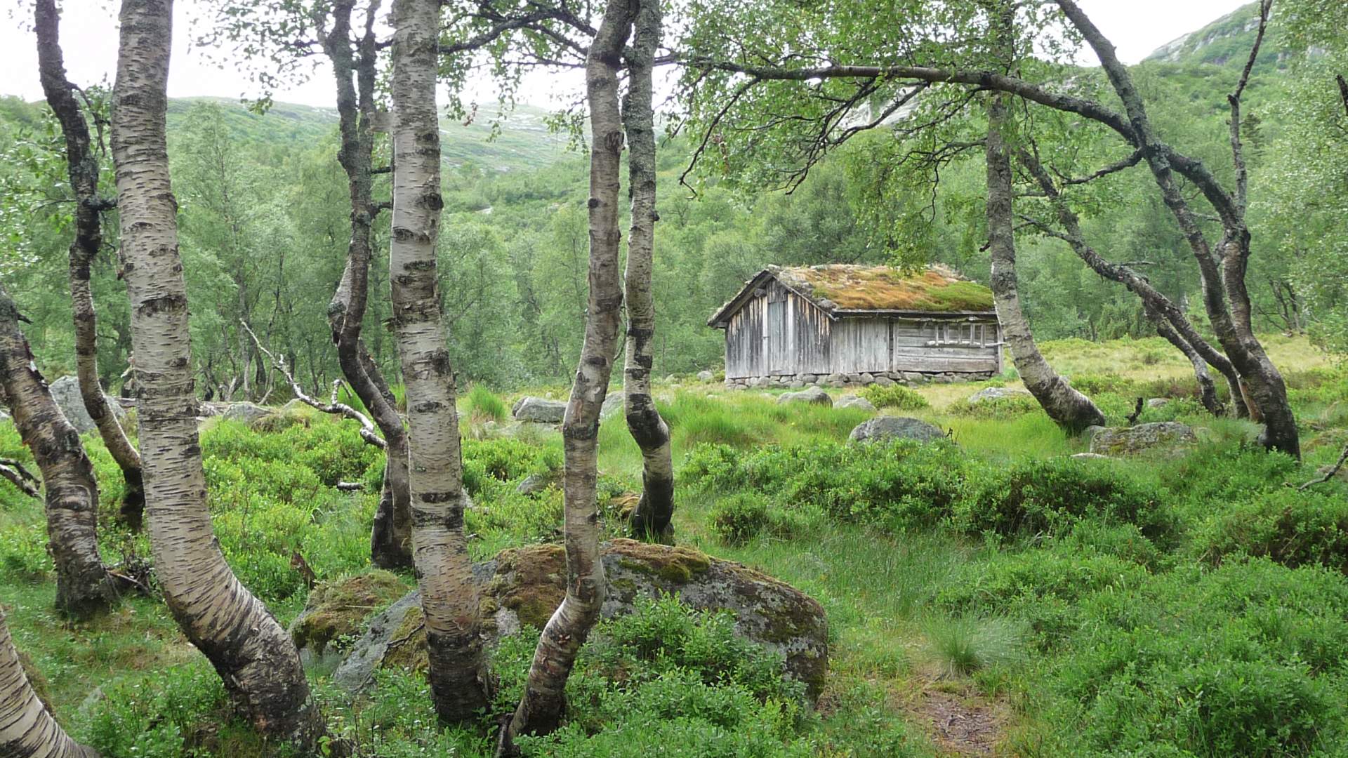SVR - Ryfylke Hochland Naturschutzgebiet