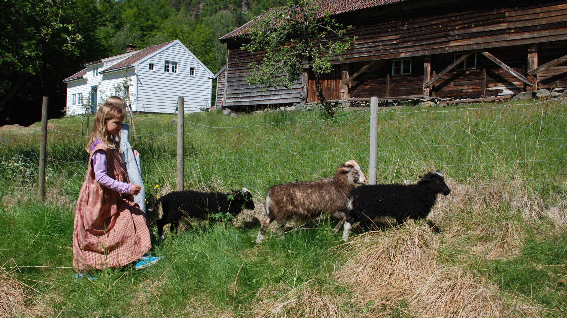 Die Norwegische Landschaftsroute Ryfylke