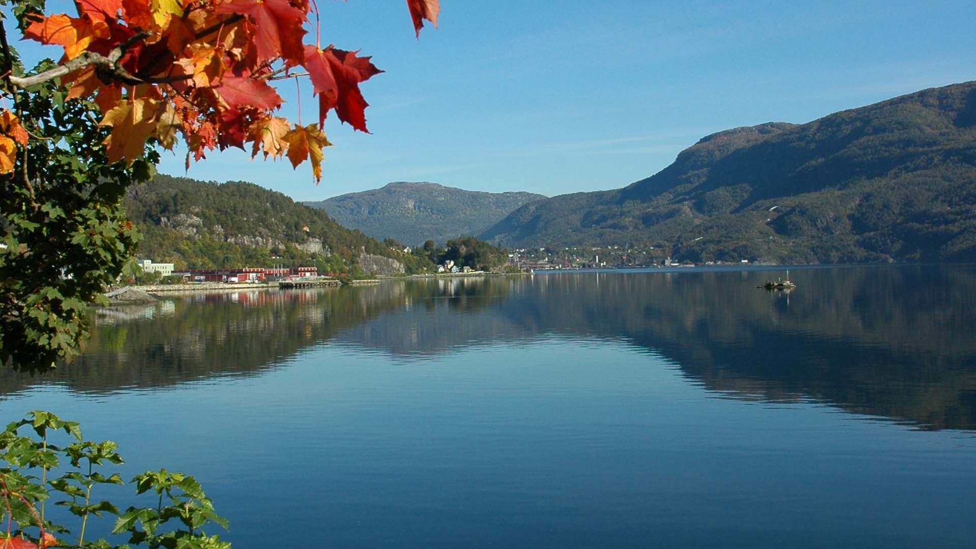 Saudafjorden i Sauda