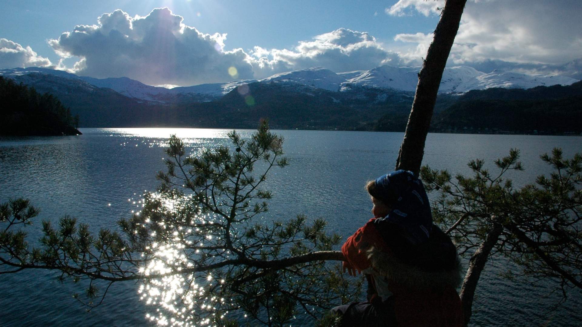 Saudafjorden i Sauda