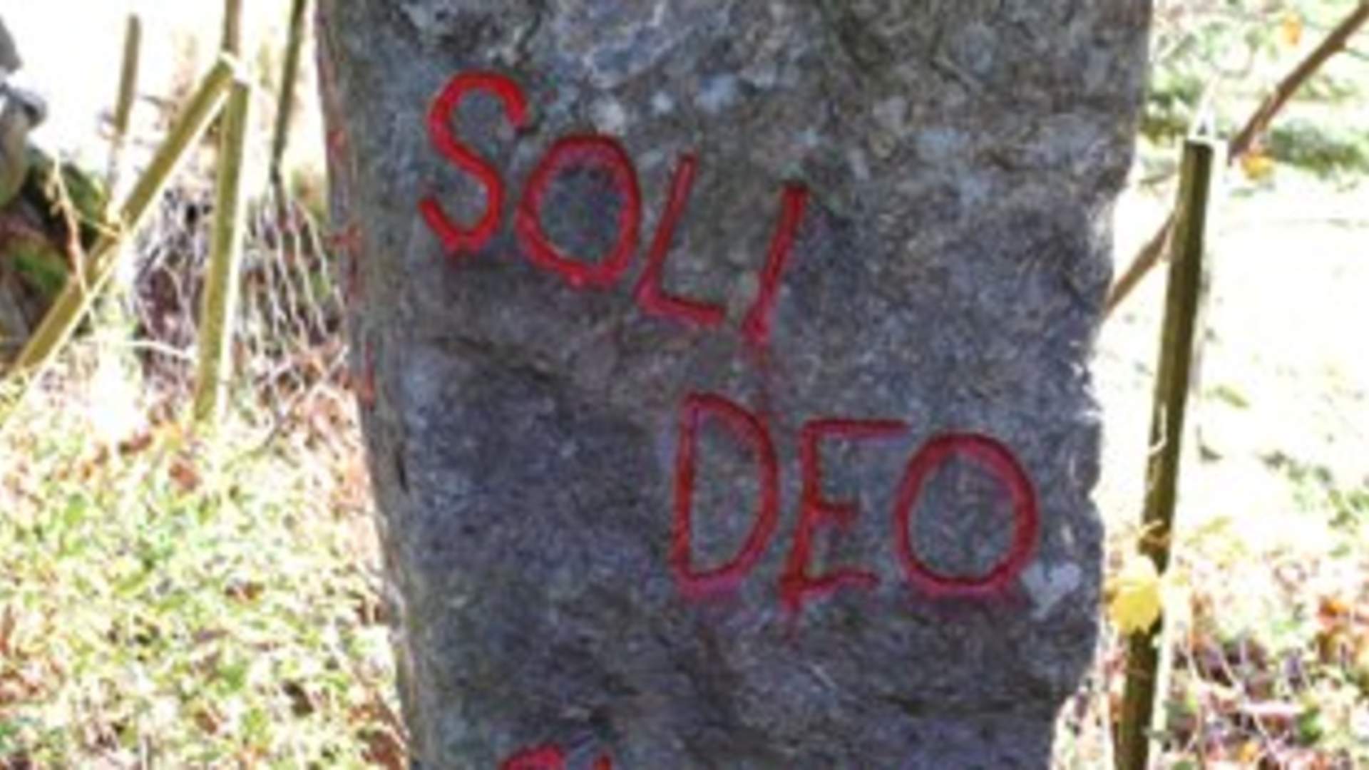 Olav Vik Stiftinga - friområde - Etne