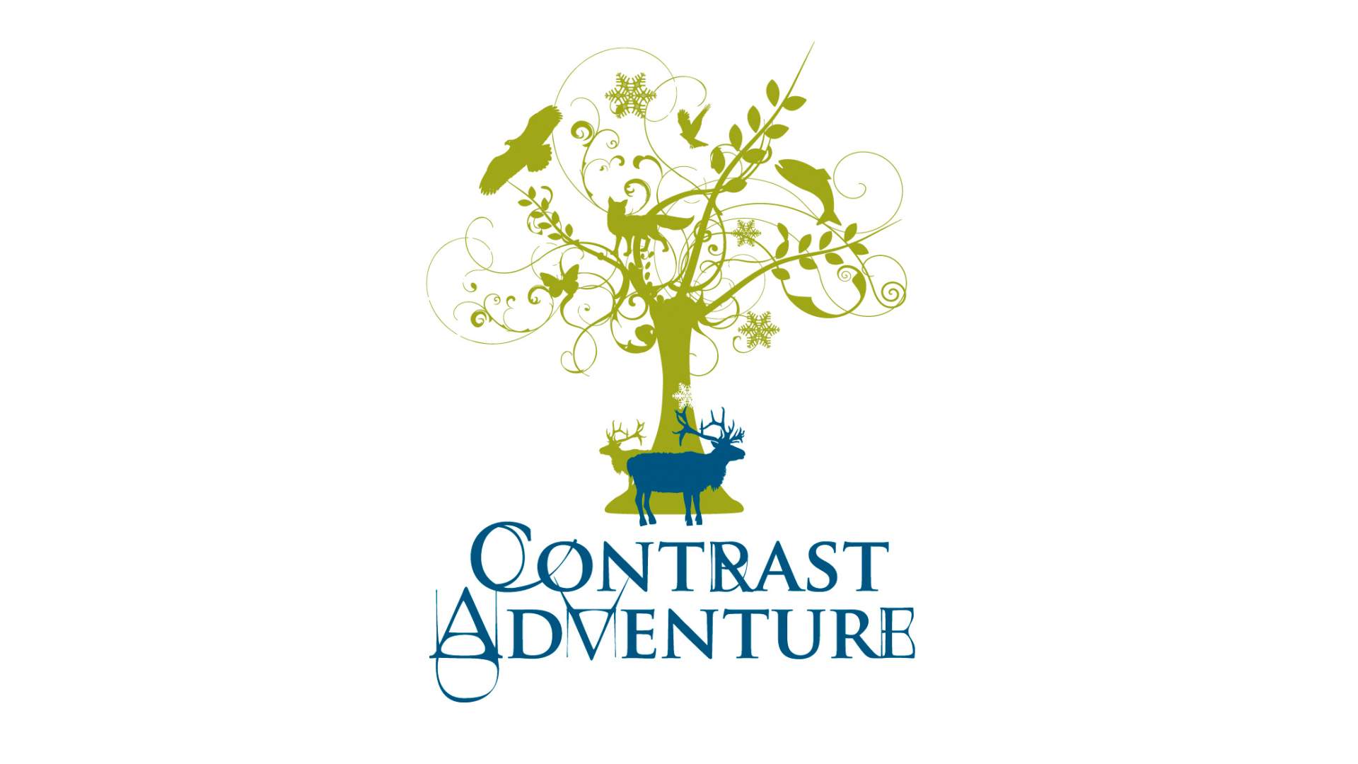 Alpine Ski touring with Contrast Adventure