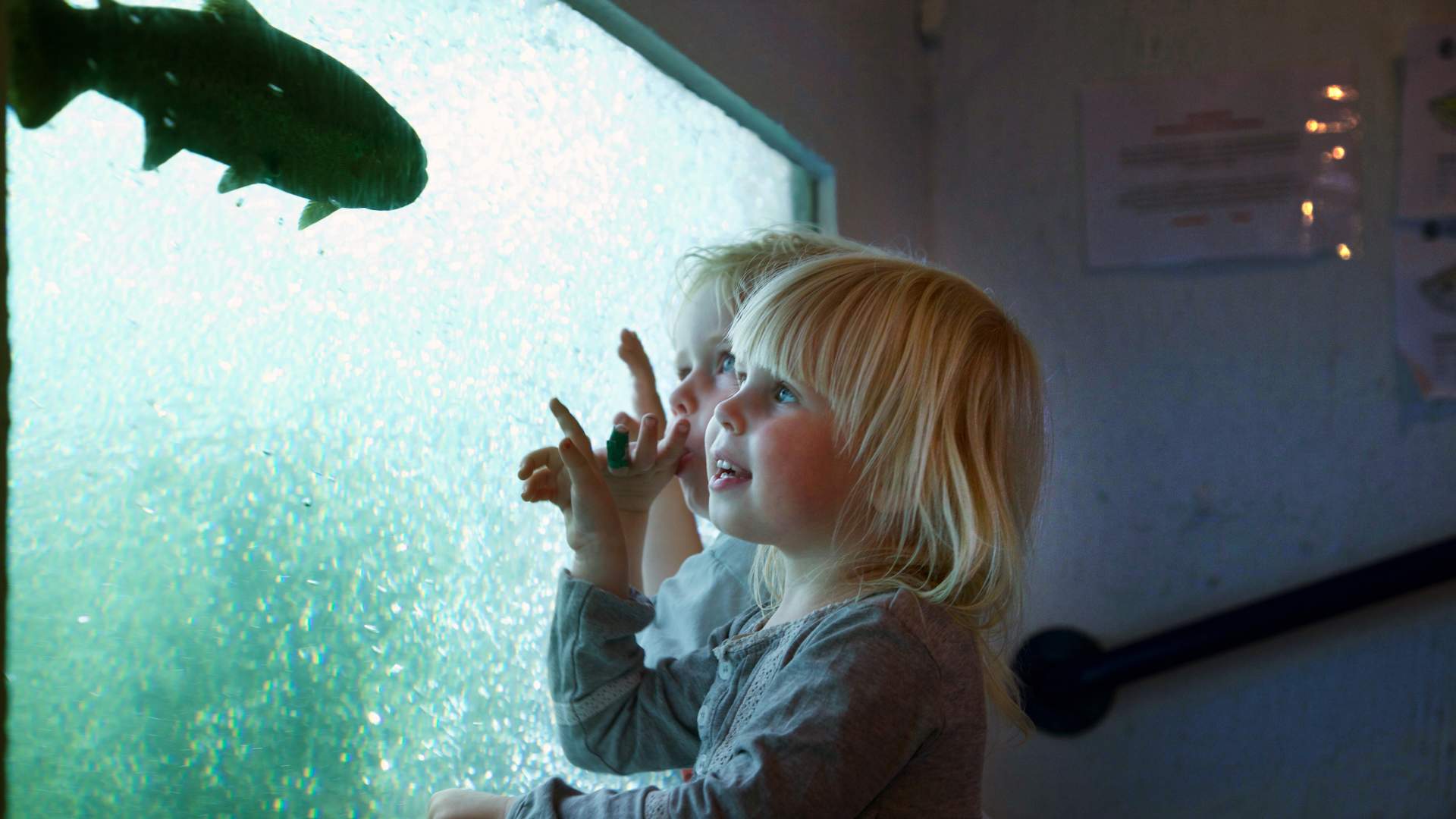 Suldalslågen in Suldal