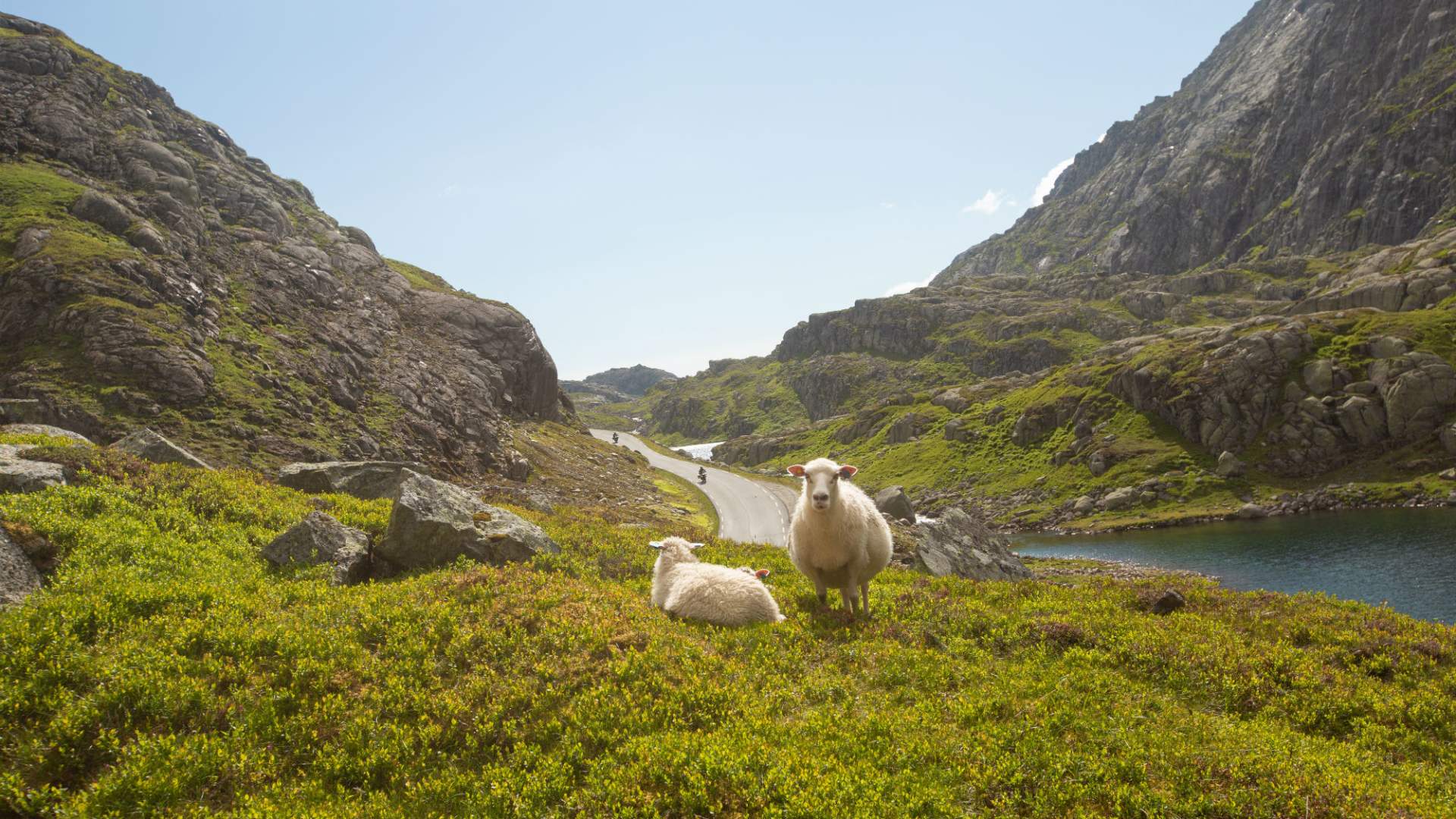 Røldalsvegen mellom Sauda og Røldal