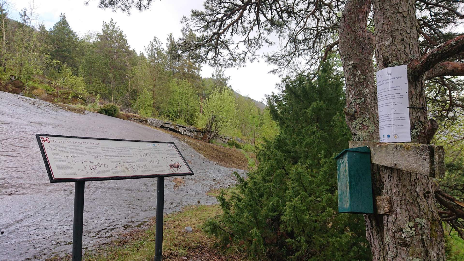 Helleristningene på Bogge