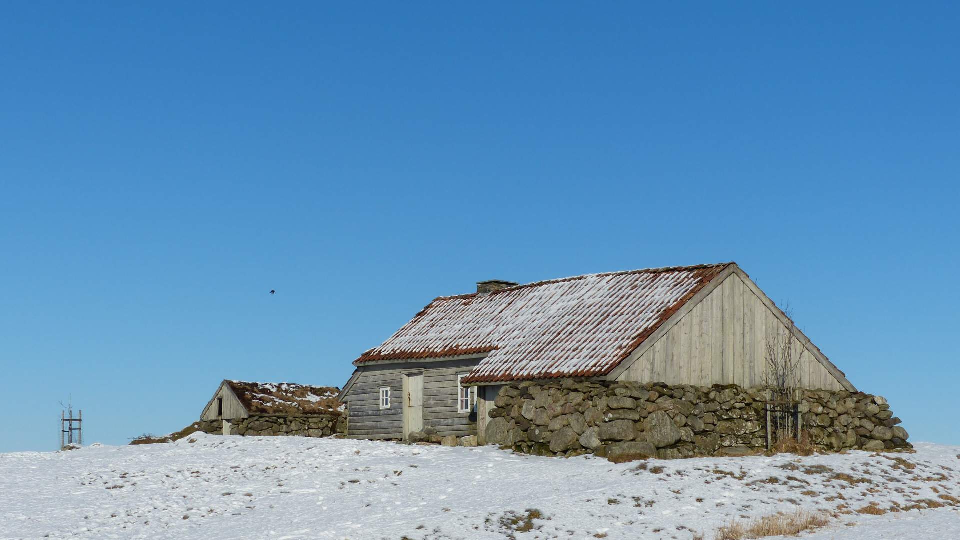 Husmannsplassen Træe