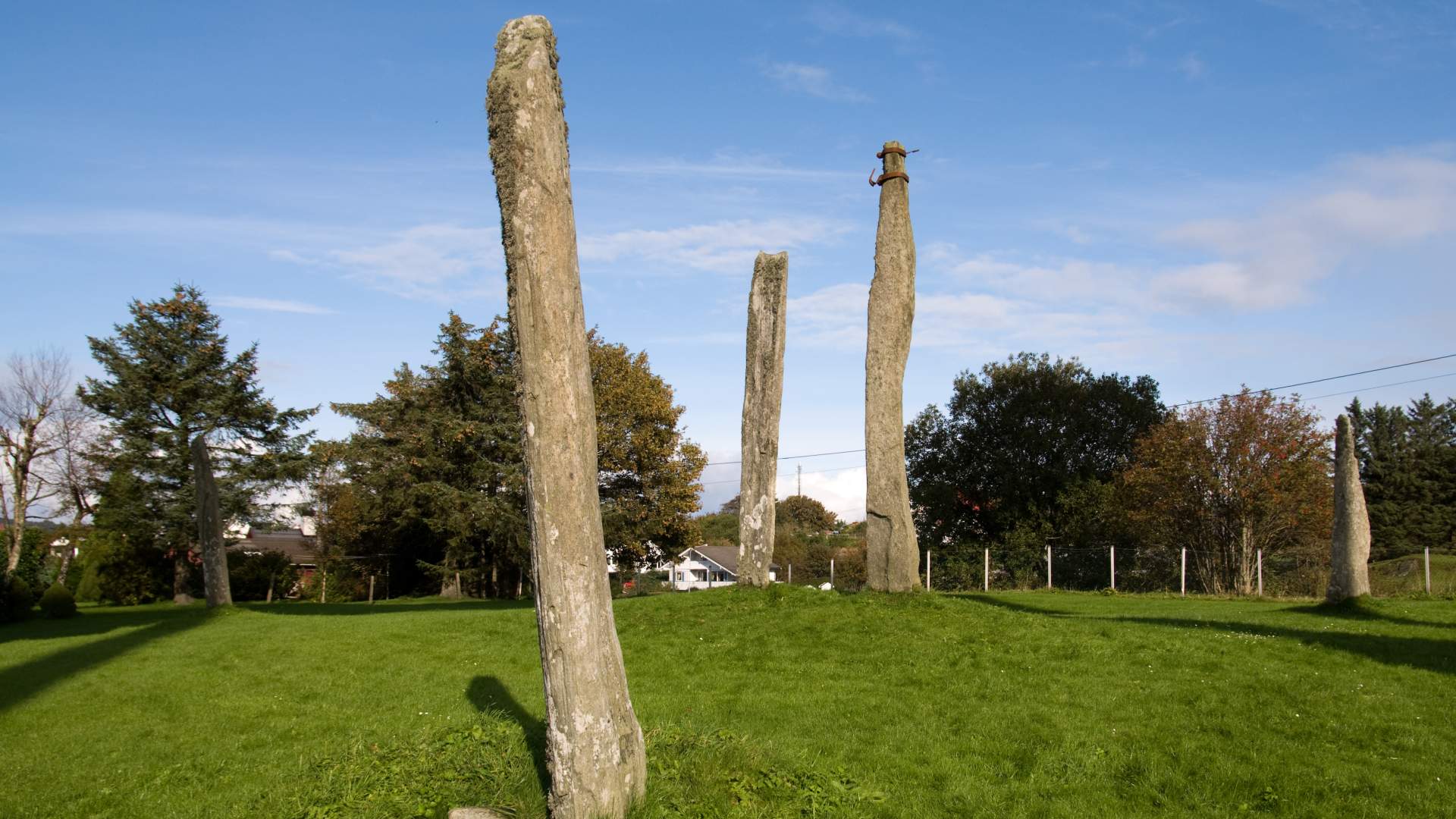 The Five Wayward Virgins