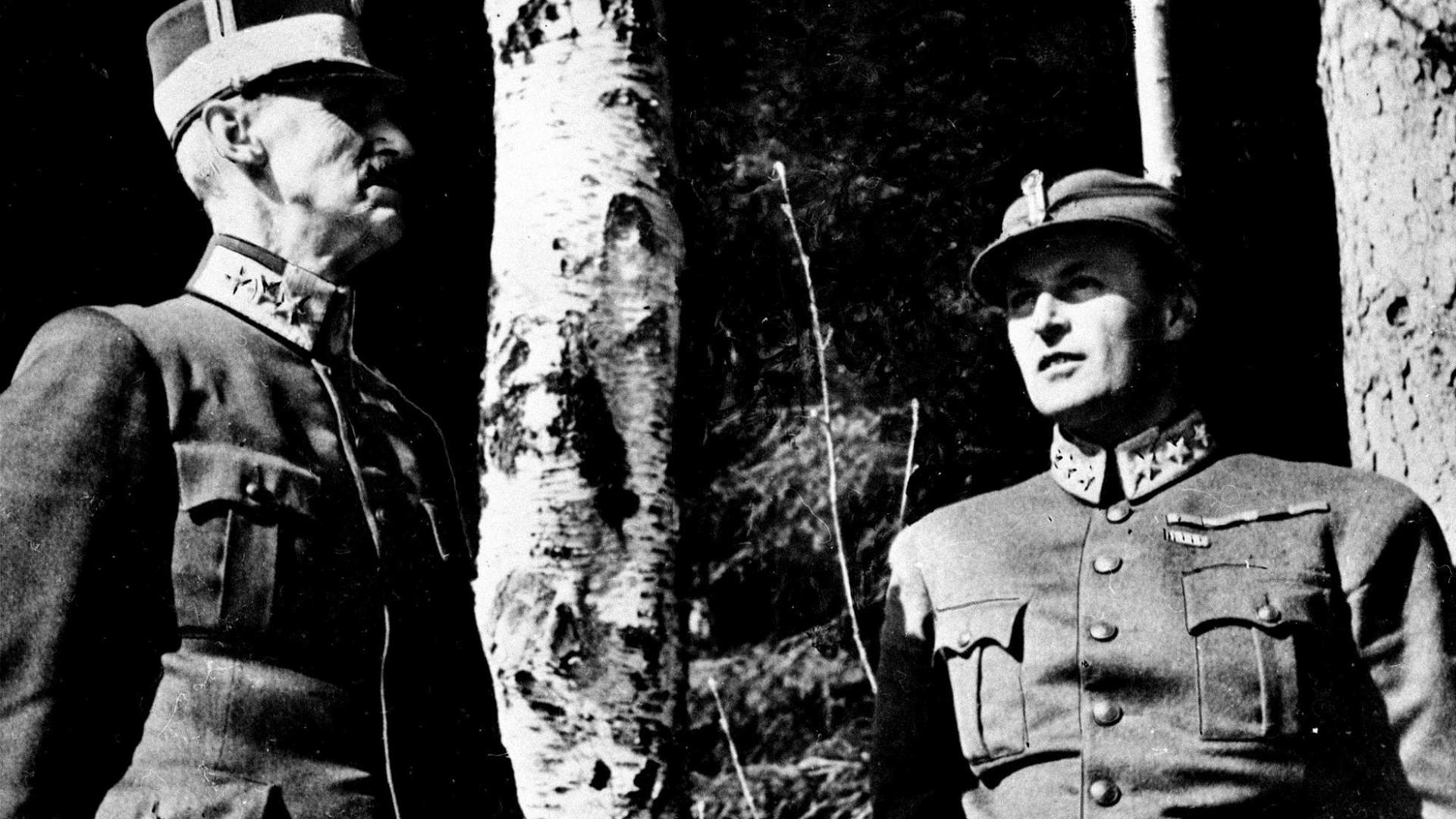 Königsbirke und Friedenshain