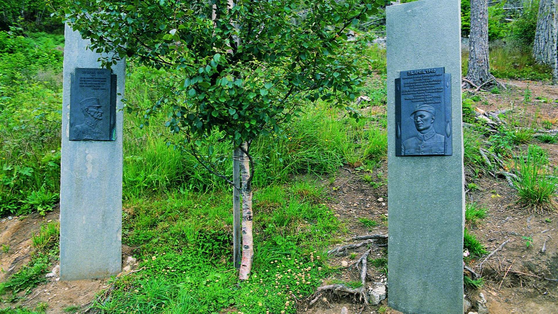 Königsbirke und Friedenshain