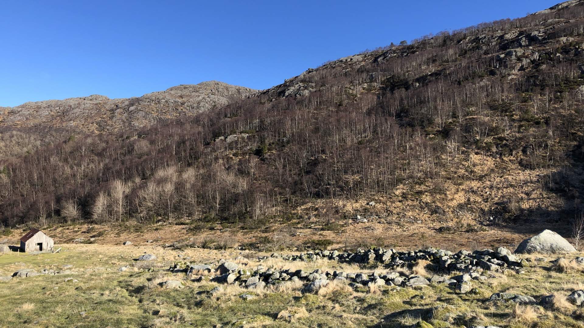 Uadalen fornminneområde på Storrsheia