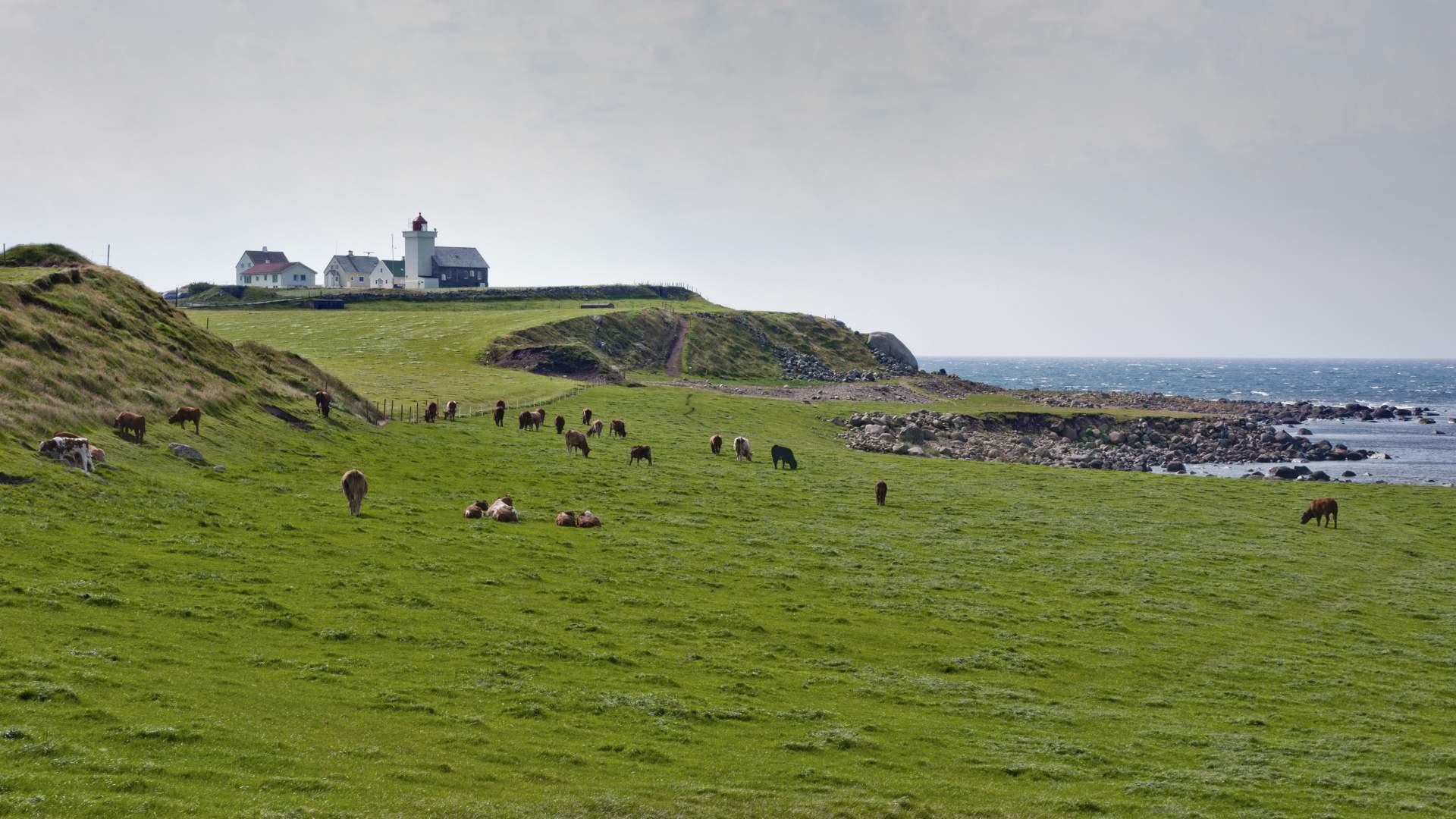 Nasjonal turistveg Jæren
