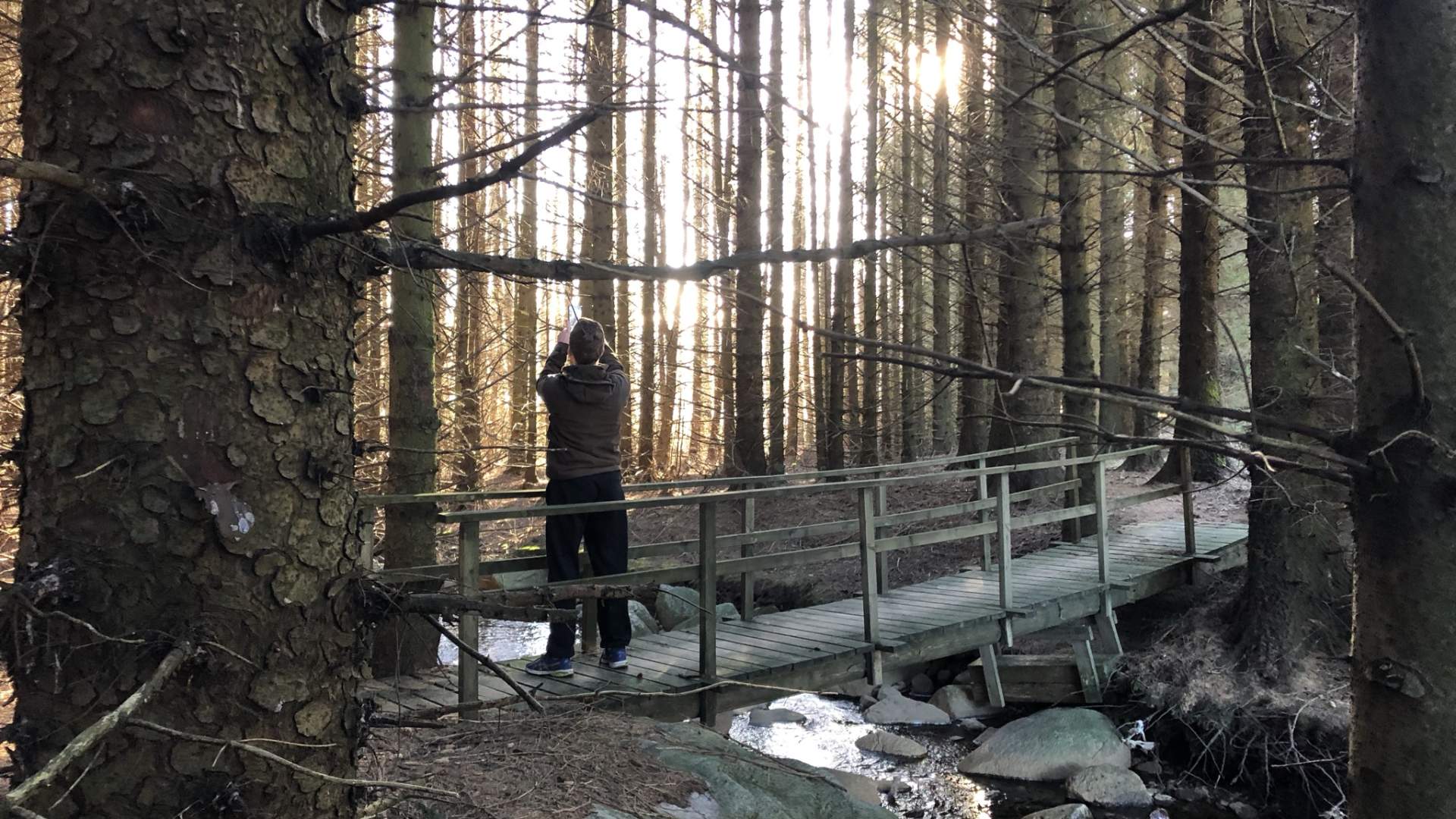 Uadalen fornminneområde på Storrsheia