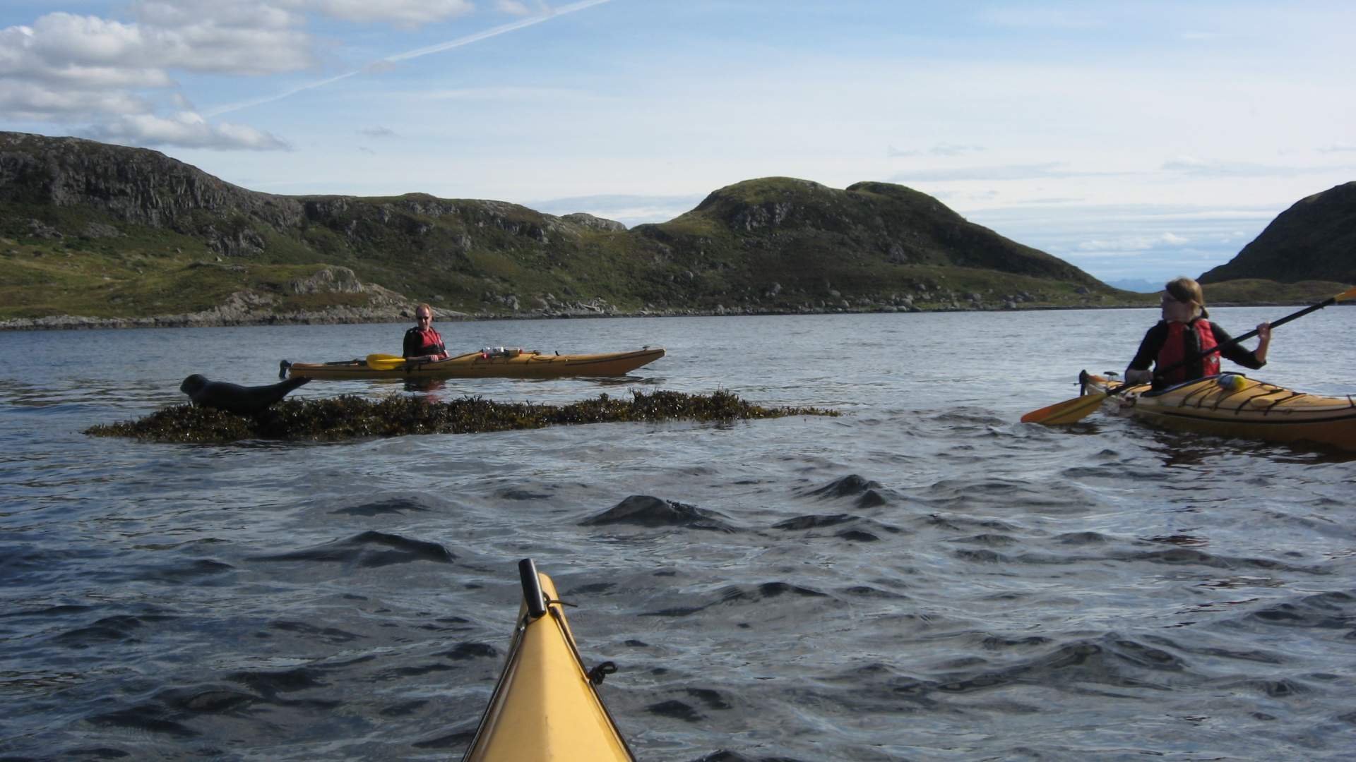 Coastal kayak tour from Kalvåg with Norway AdvenTURes