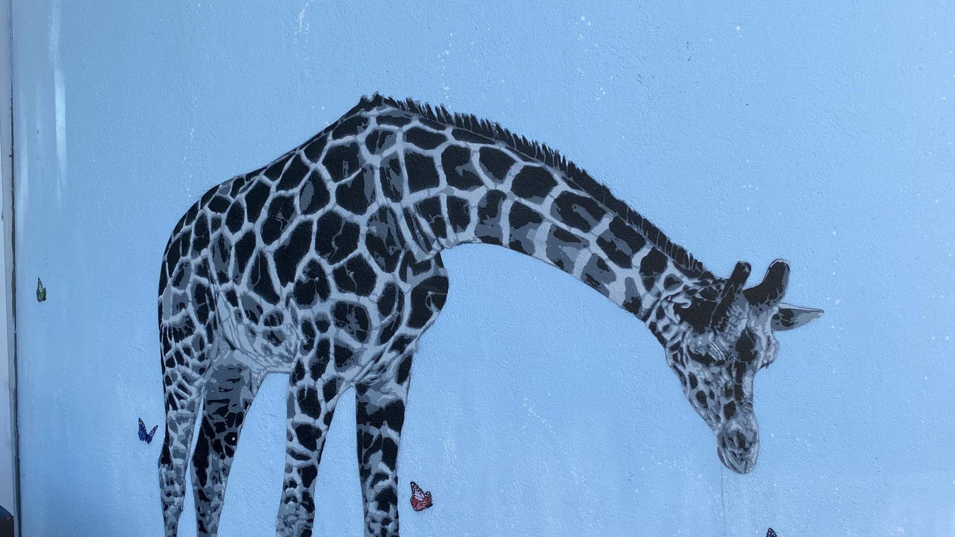 Gatekunst (Street Art) Nuart Sandnes