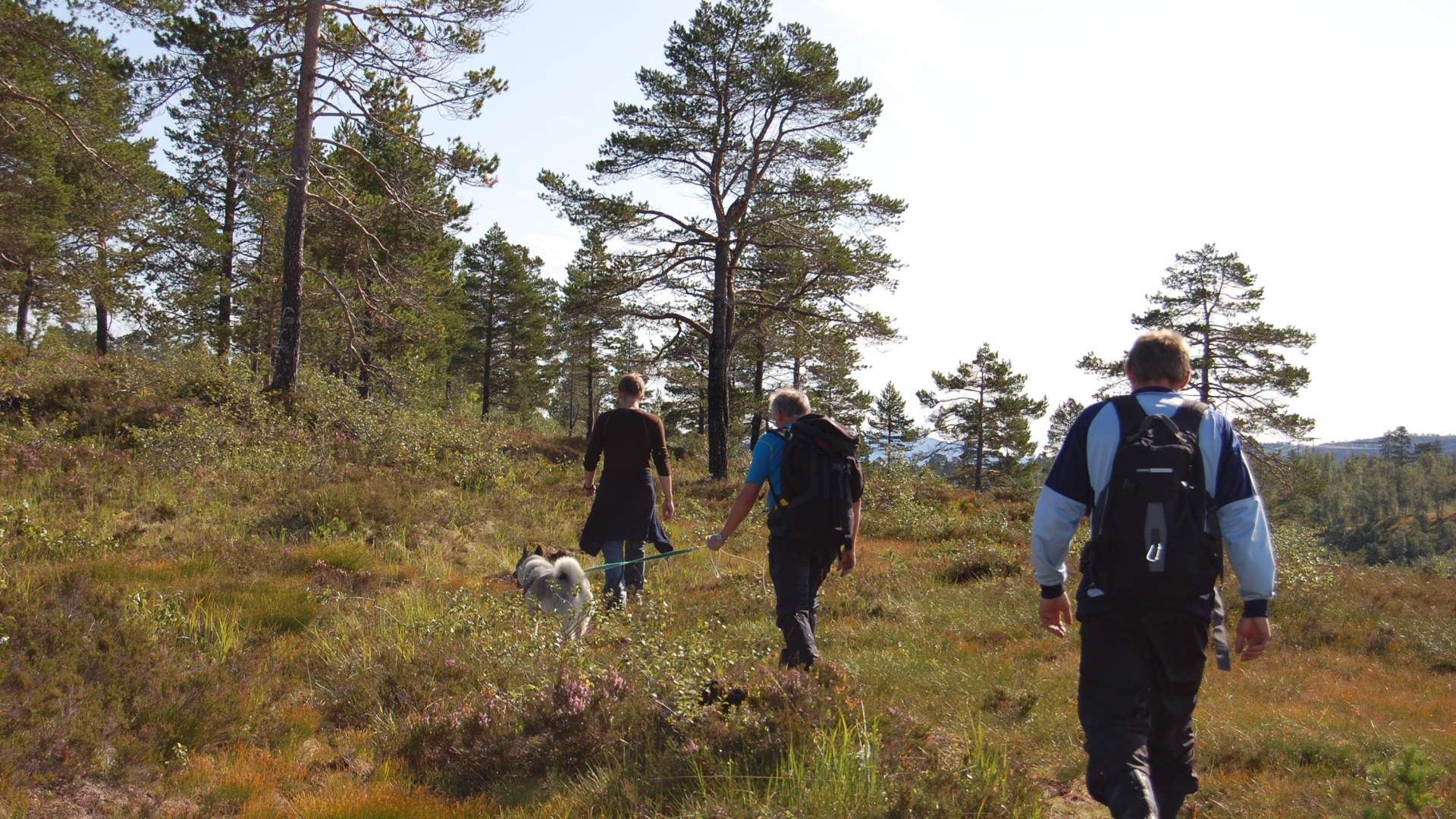 Nordmarka - hiking area in Surnadal