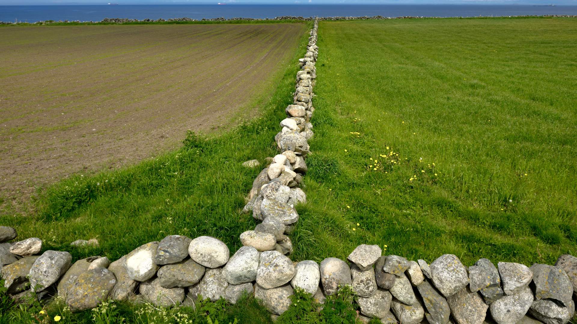 Nasjonal turistveg Jæren