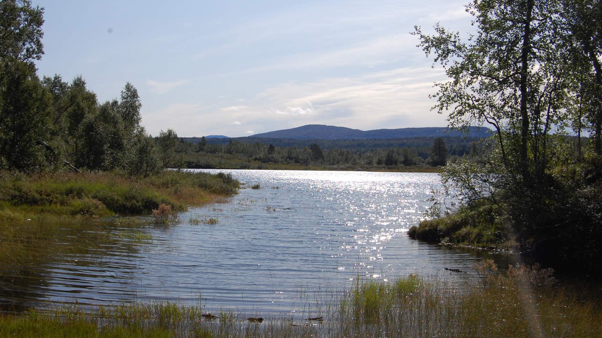 Nordmarka - hiking area in Surnadal