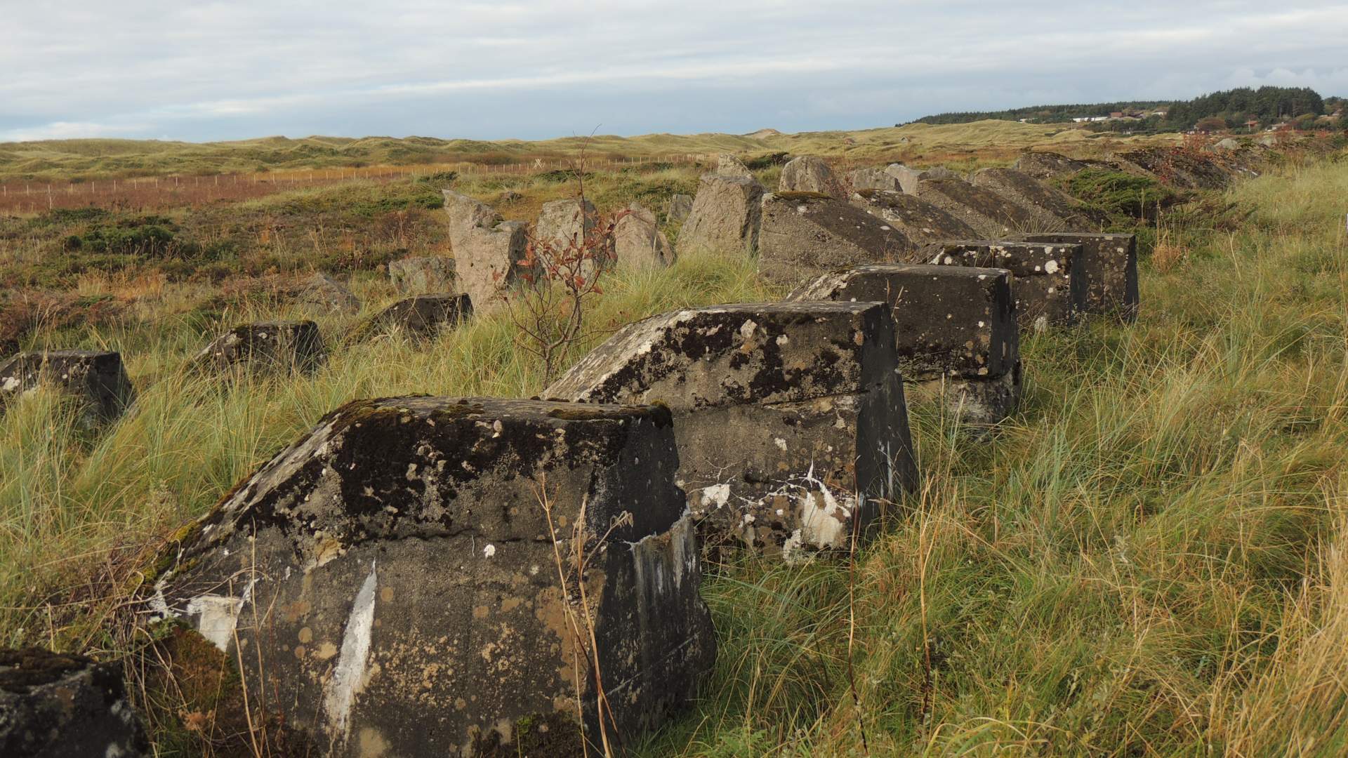 Nasjonal turistveg Jæren