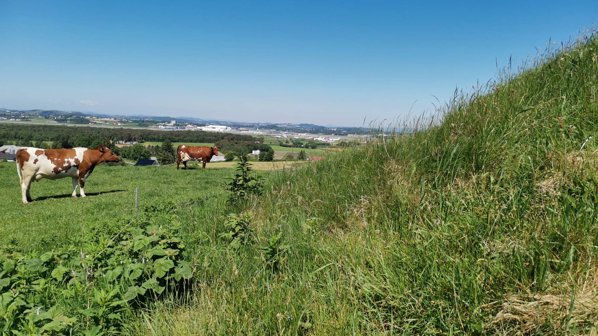 Die Grabhügel von Rege