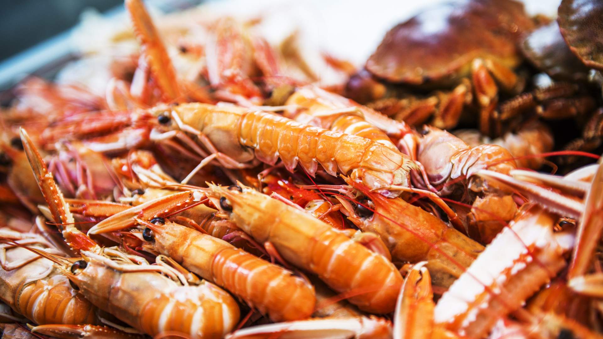 The fish market in Stavanger