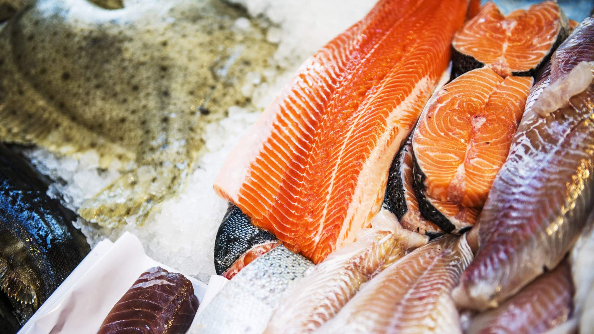 The fish market in Stavanger