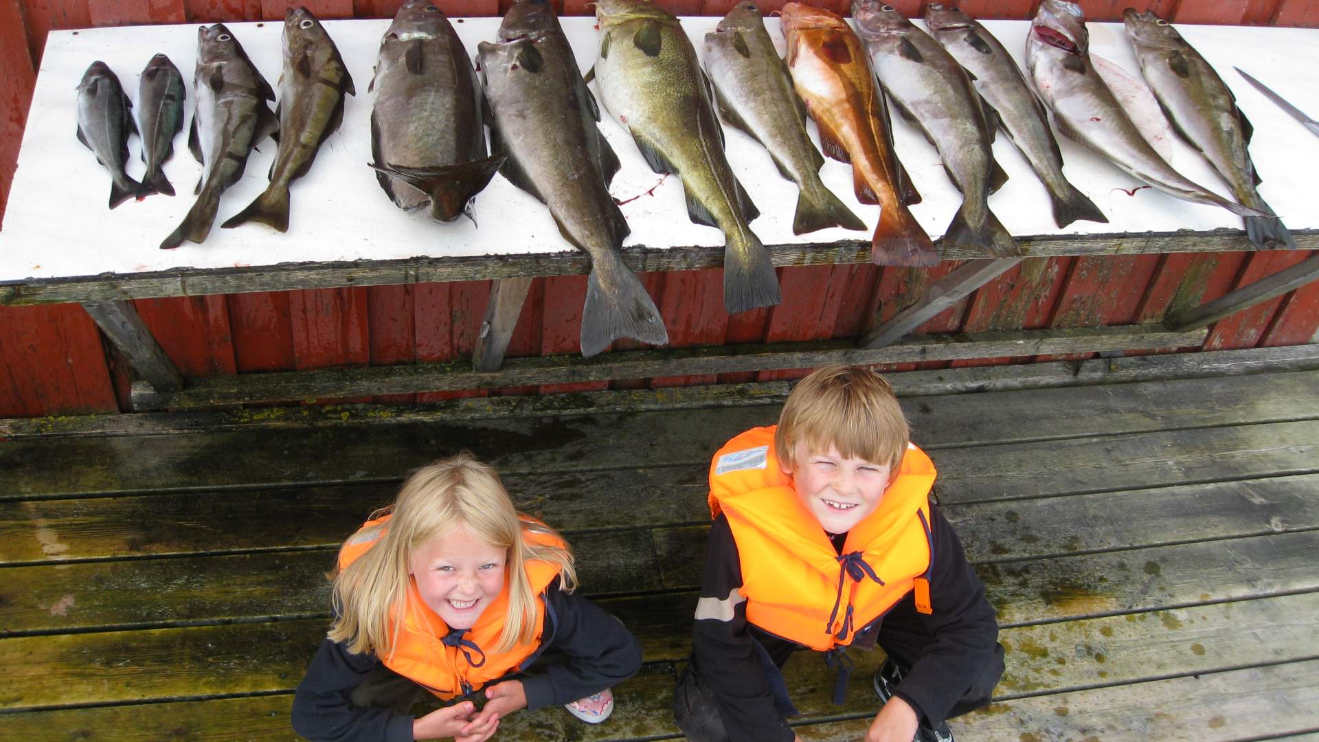 Guidet fisketur ved Atlanterhavsveien med Strømsholmen Sjøsportsenter