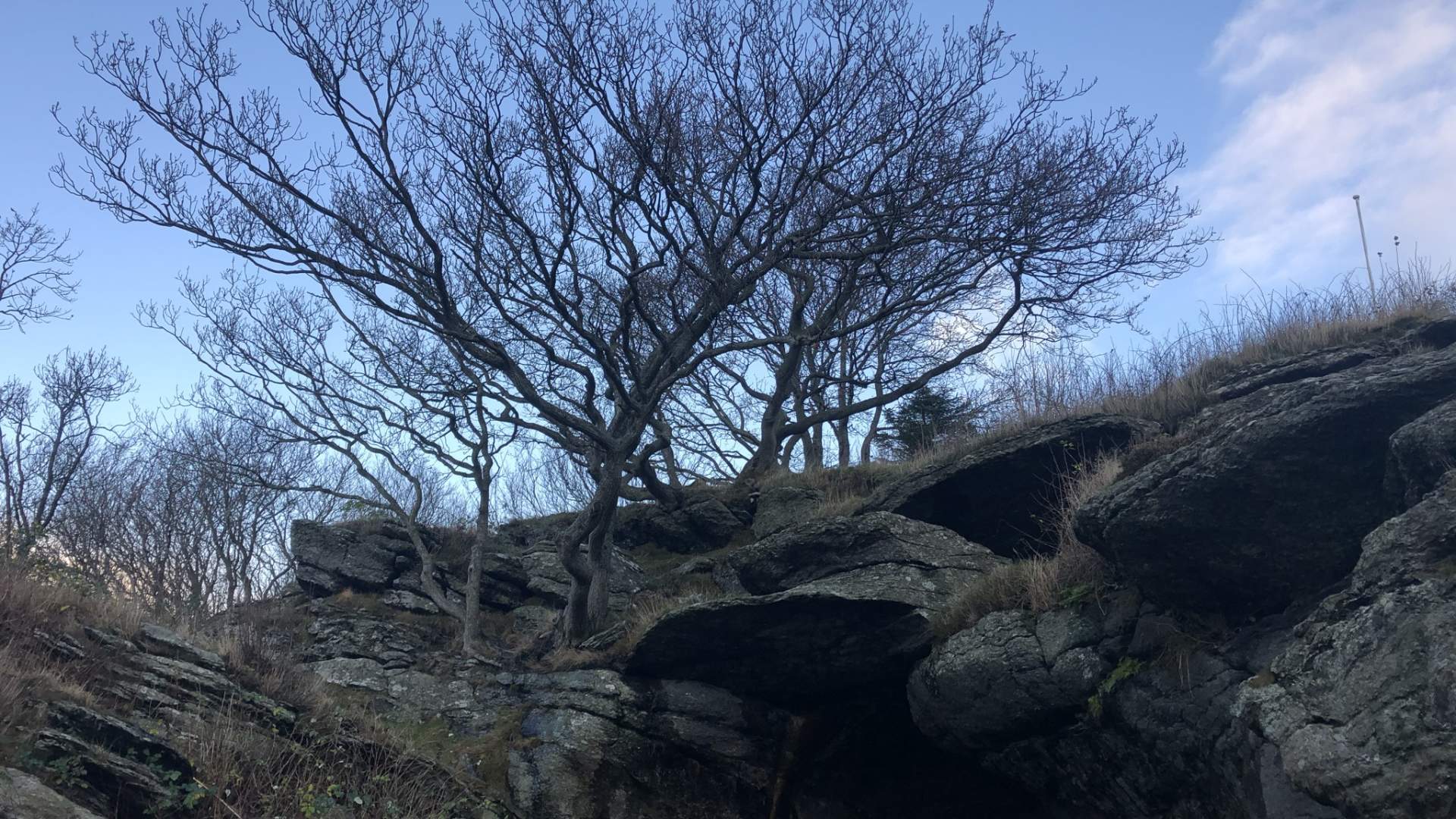 Vistehola (Svarthola)