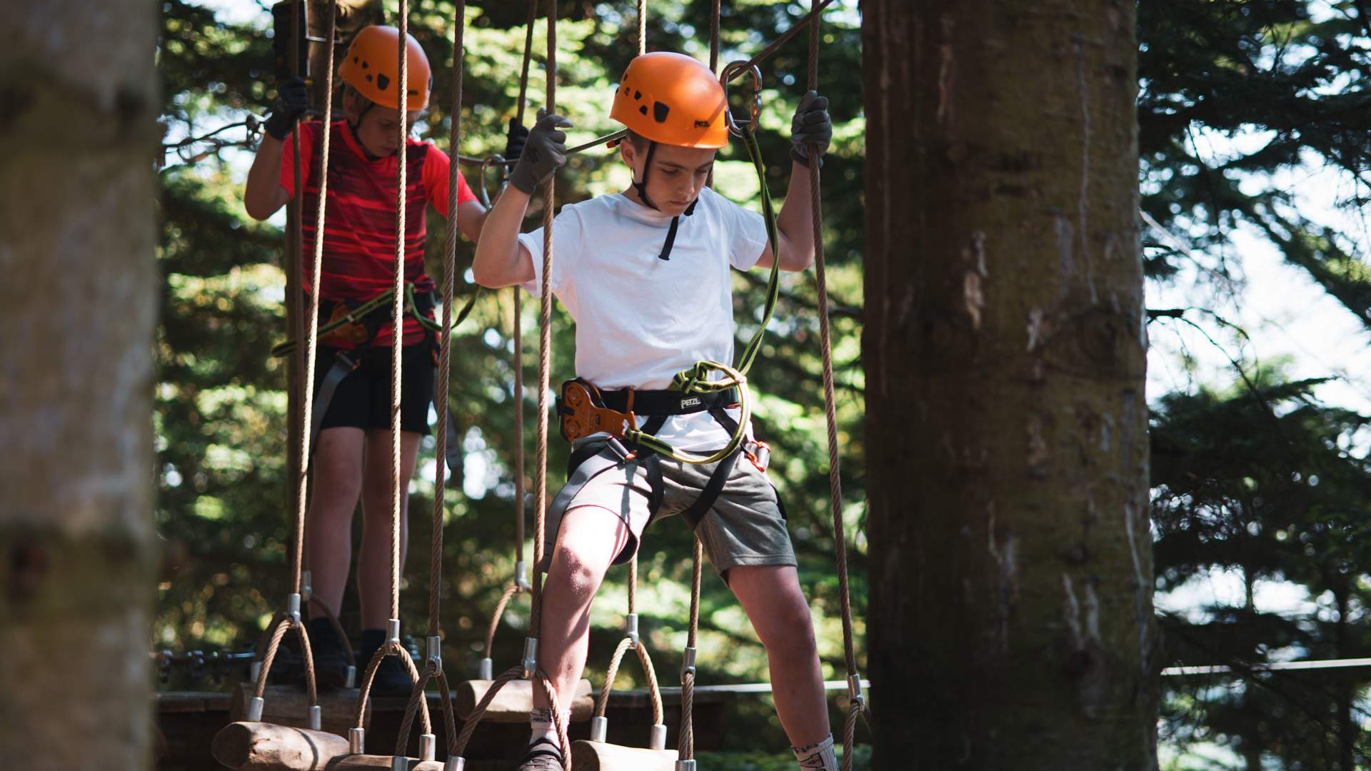 SkogSprett Klatrepark