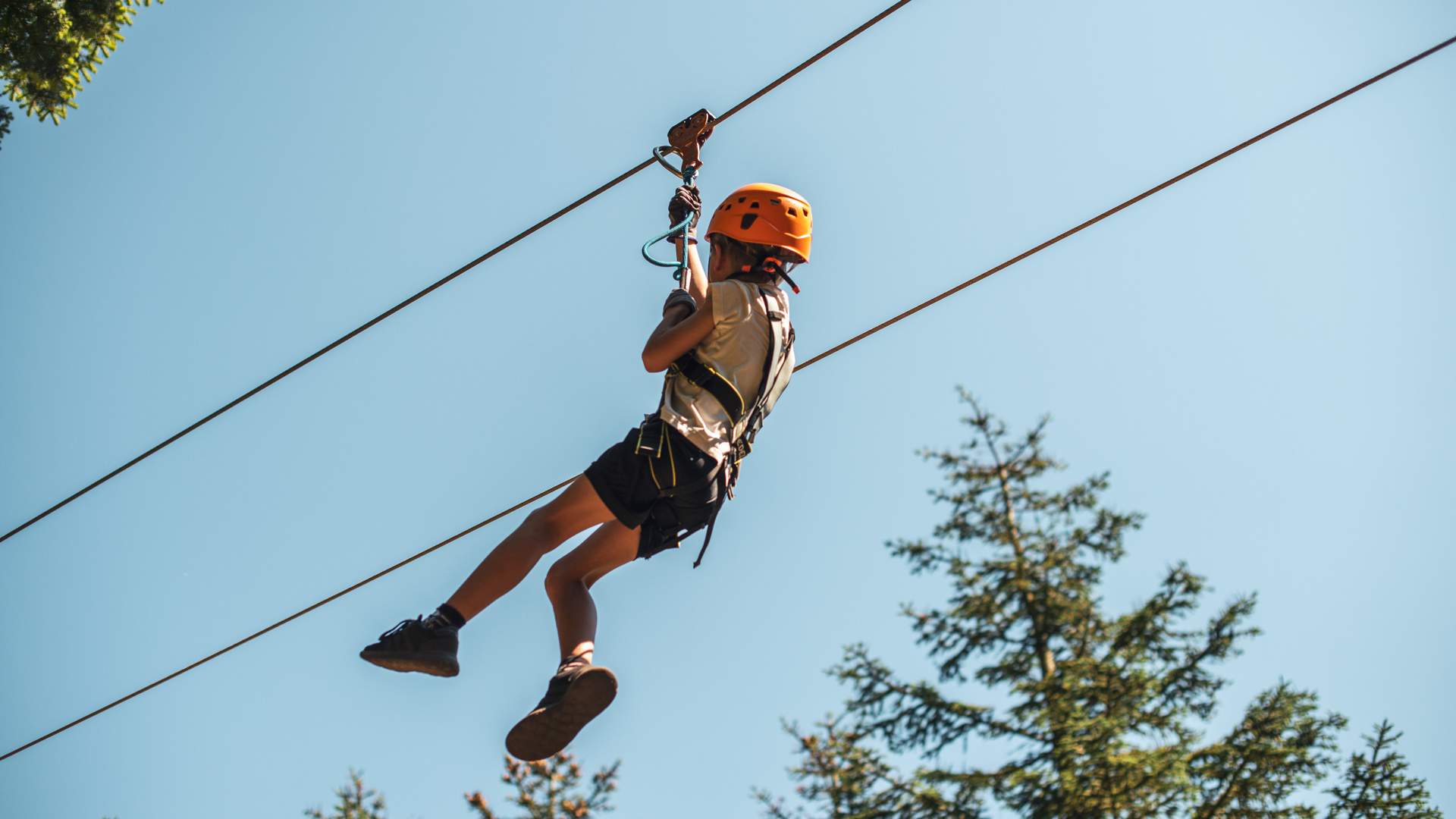 SkogSprett Klatrepark