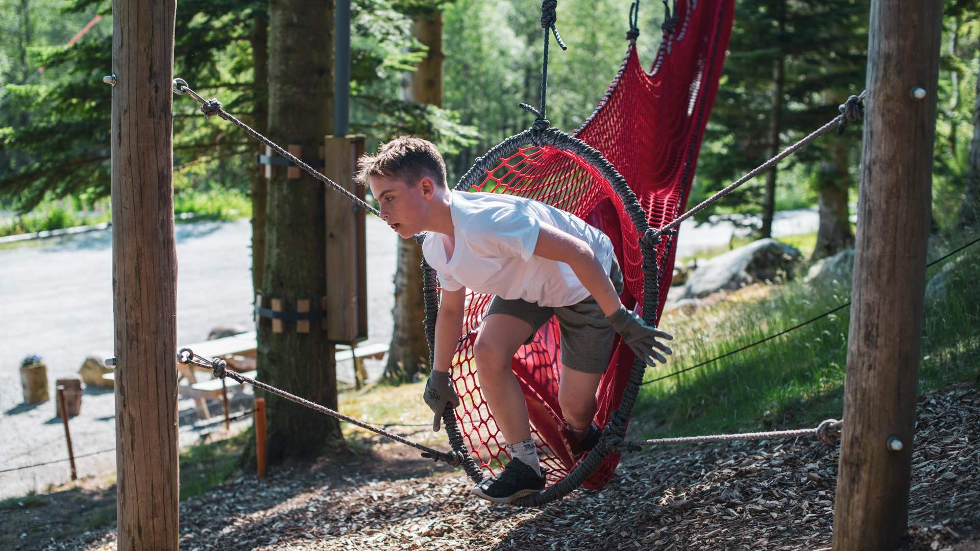 SkogSprett Klatrepark