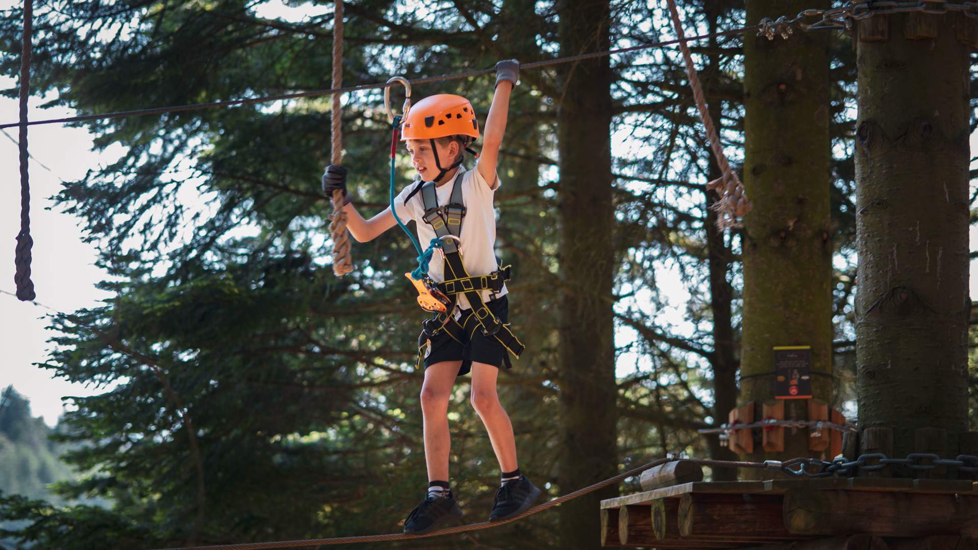 SkogSprett Klatrepark