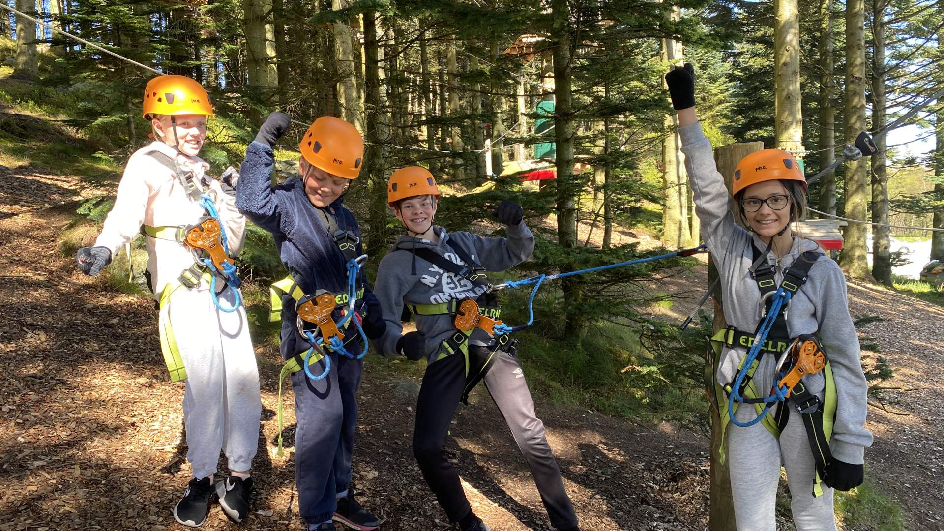 SkogSprett Klatrepark