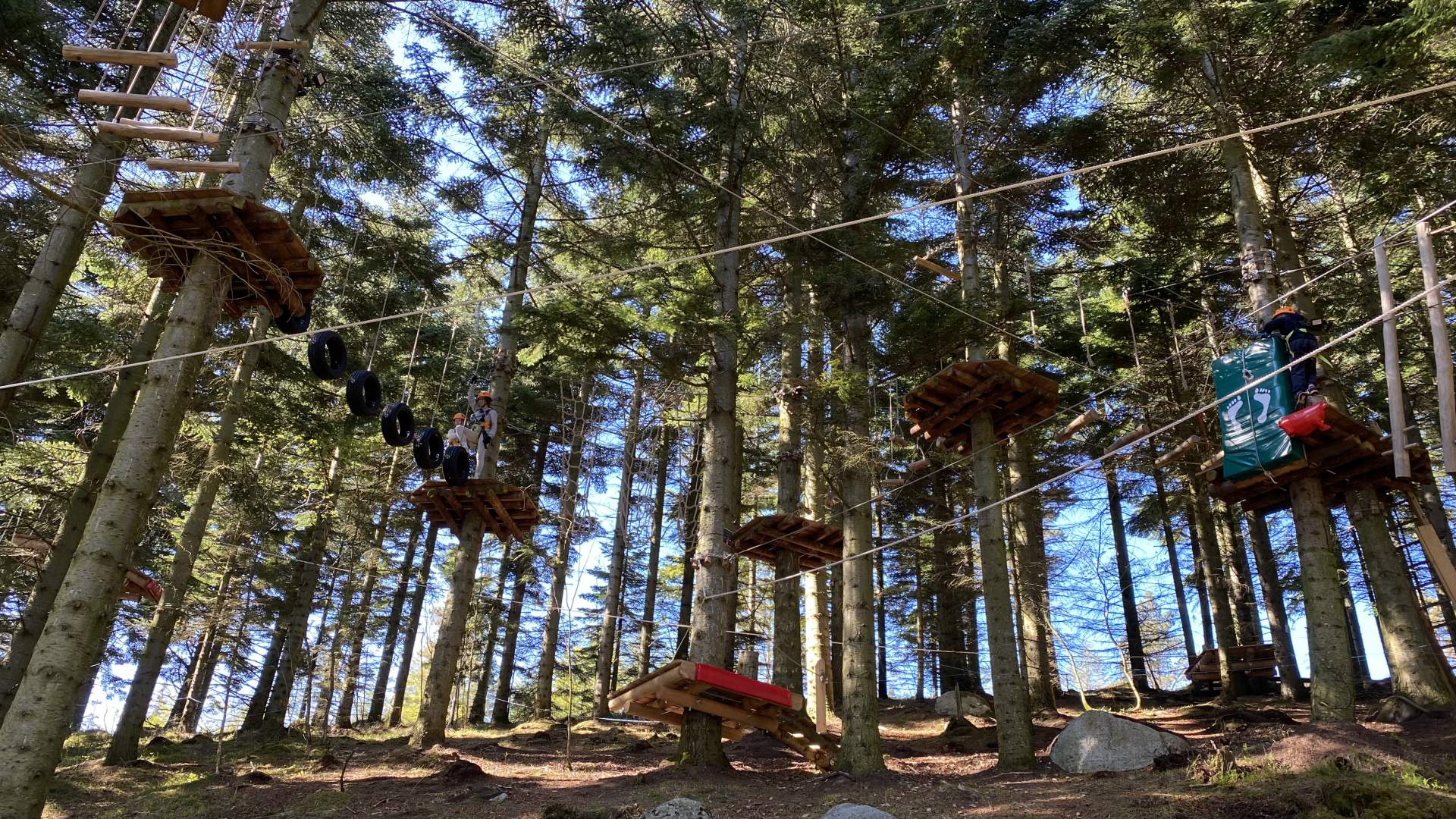 SkogSprett Klatrepark