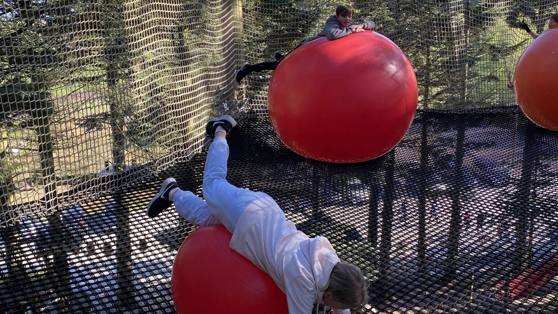 SkogSprett Klatrepark