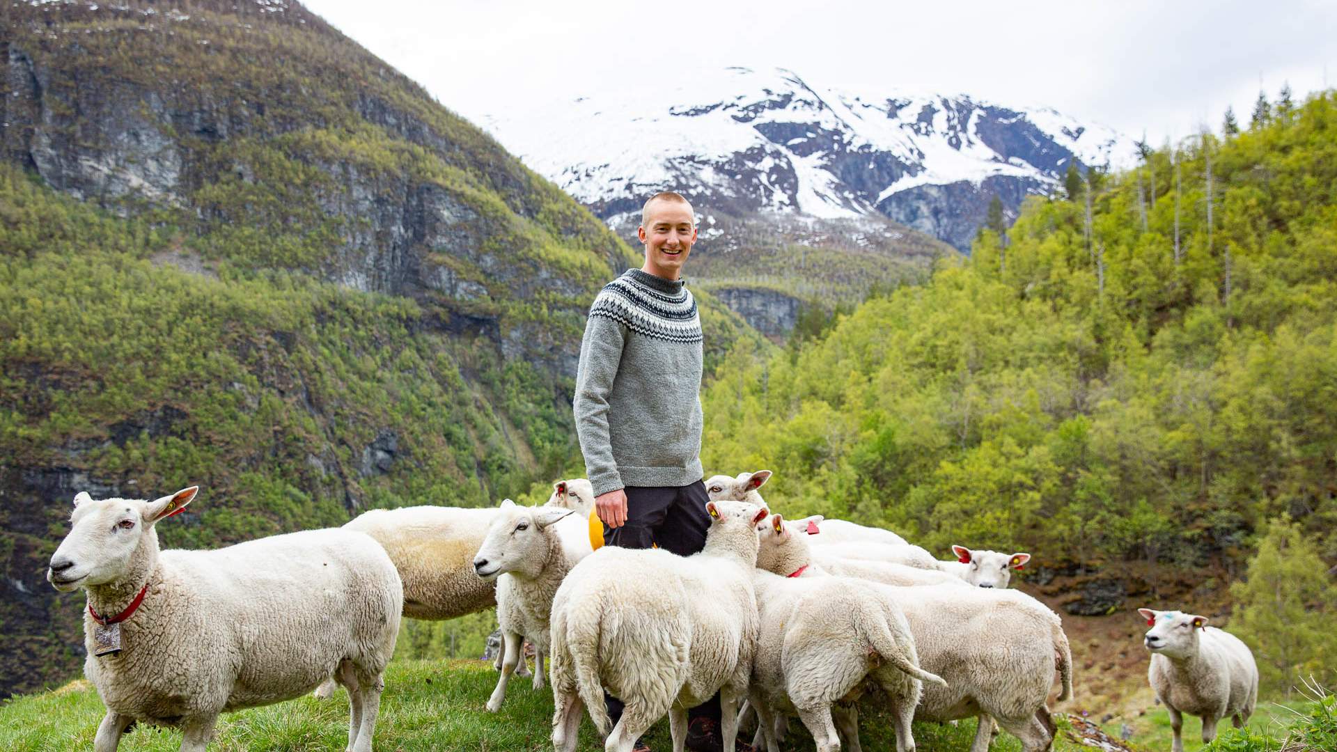 Avdal Gard