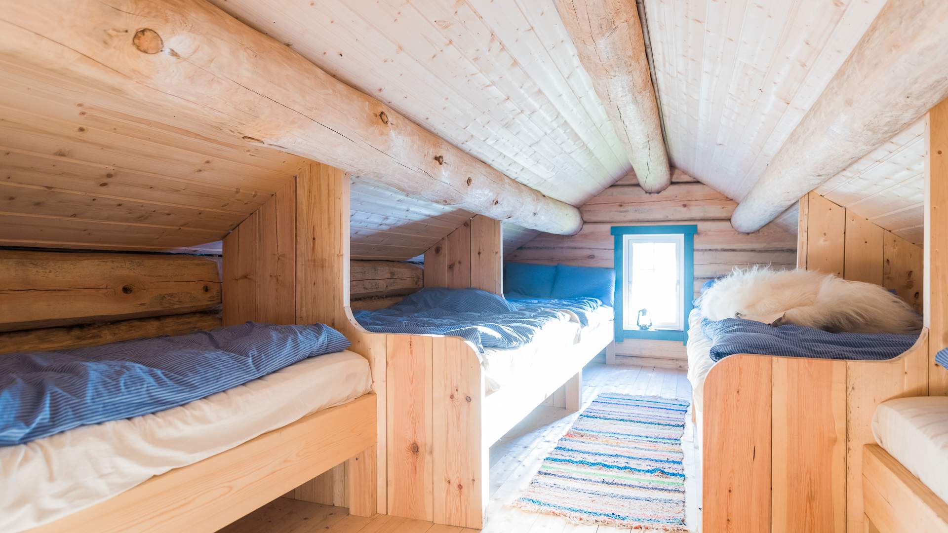 Haukali 333 near the Lysefjord