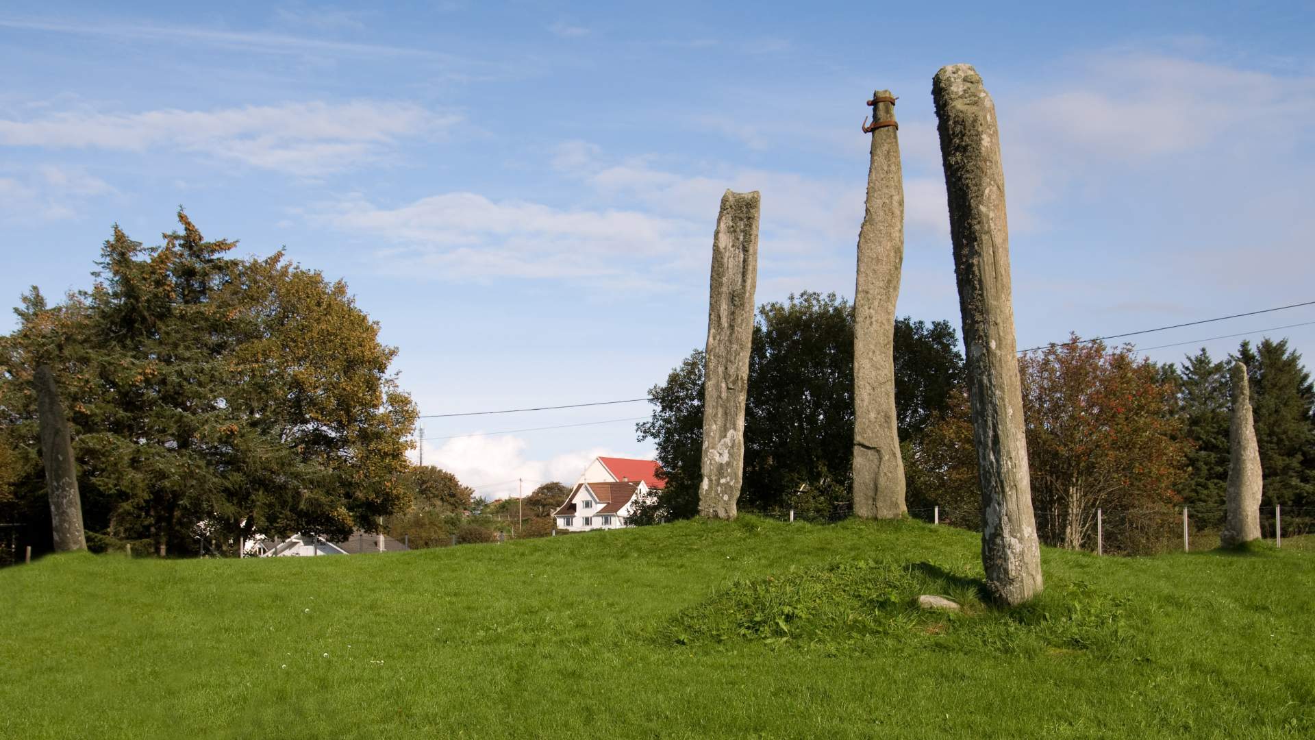 The Five Wayward Virgins