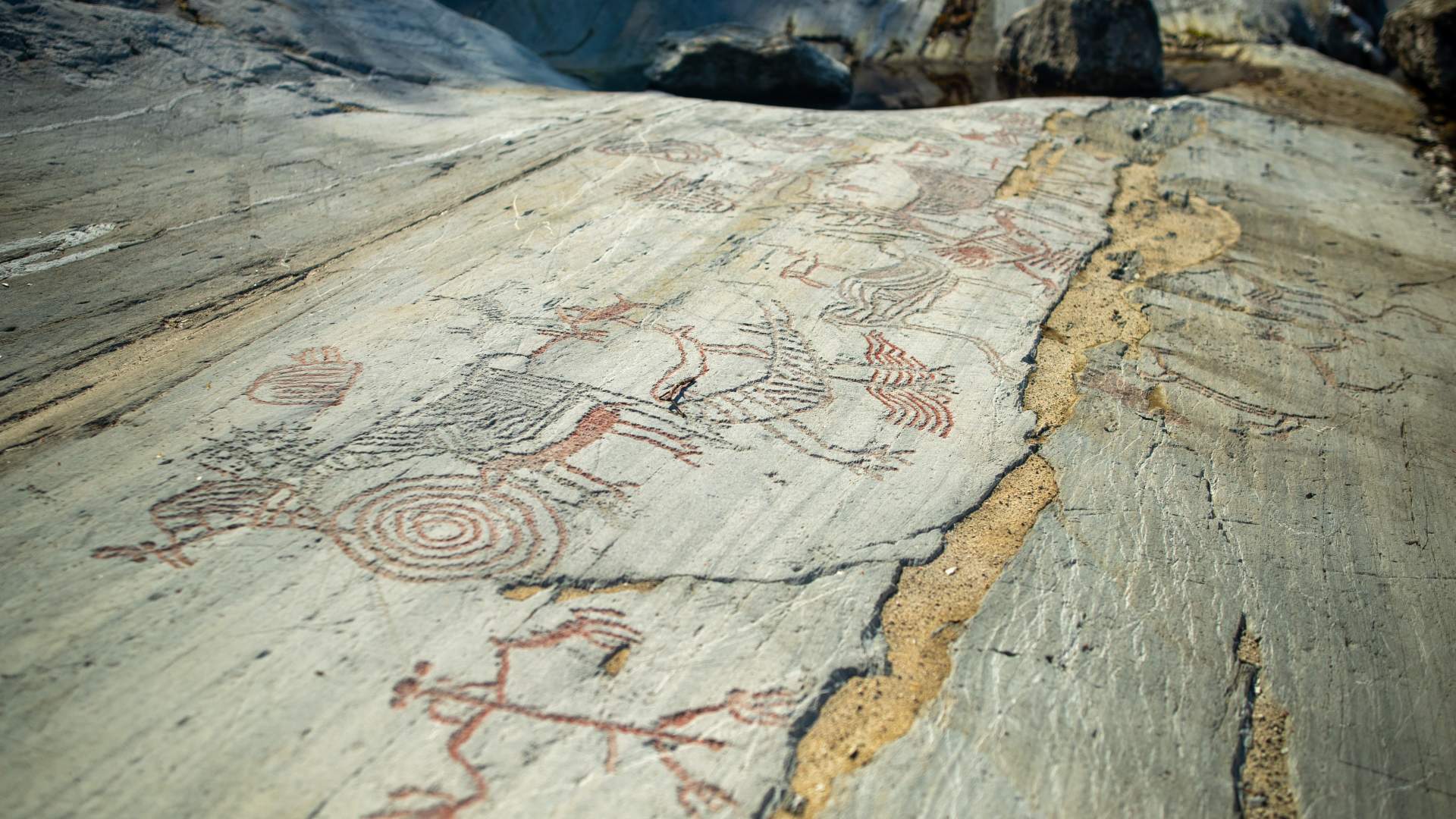 Ausevika Helleristningsfelt