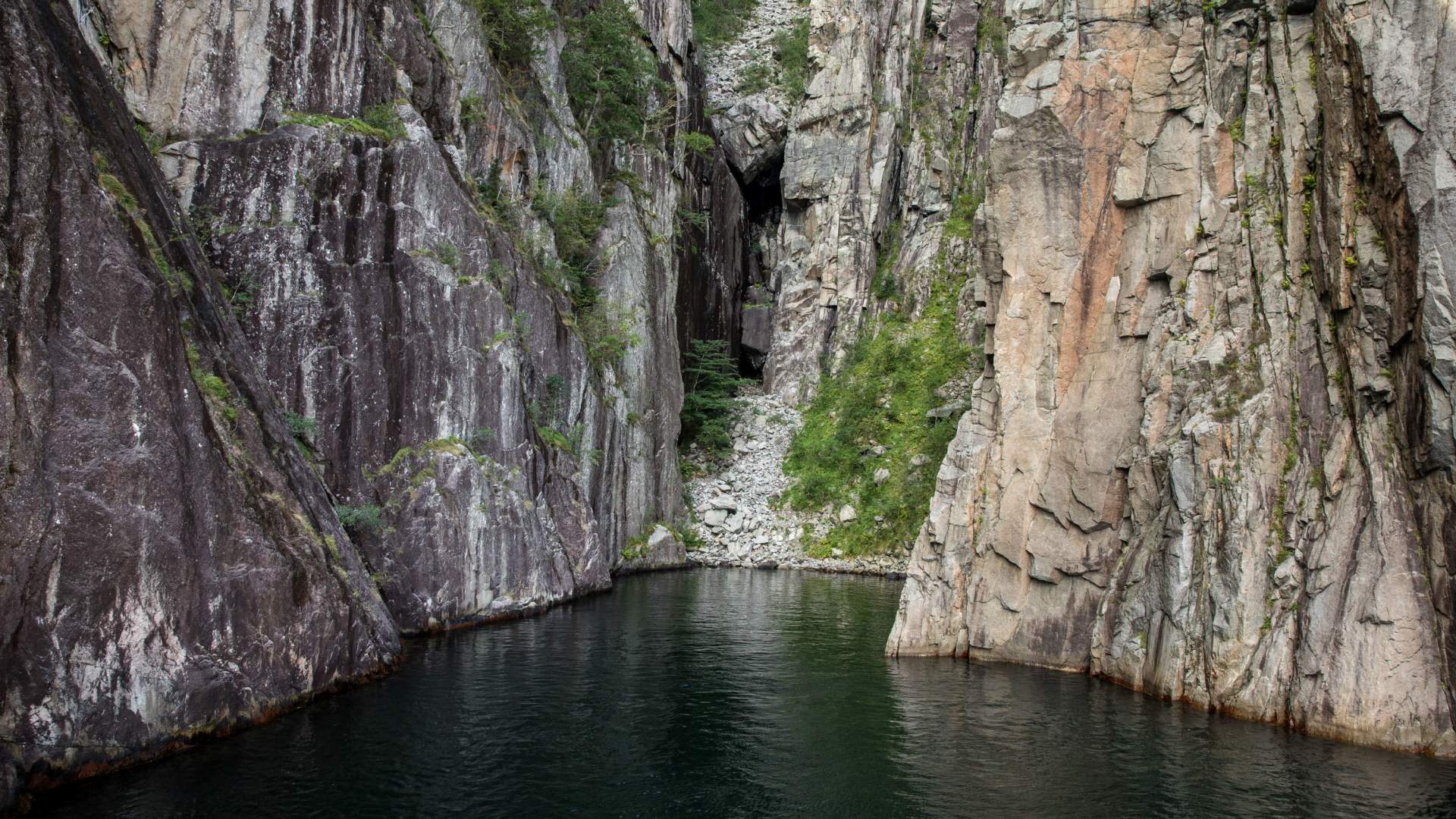 Lysefjord- & Preikestolen-Cruise sommer