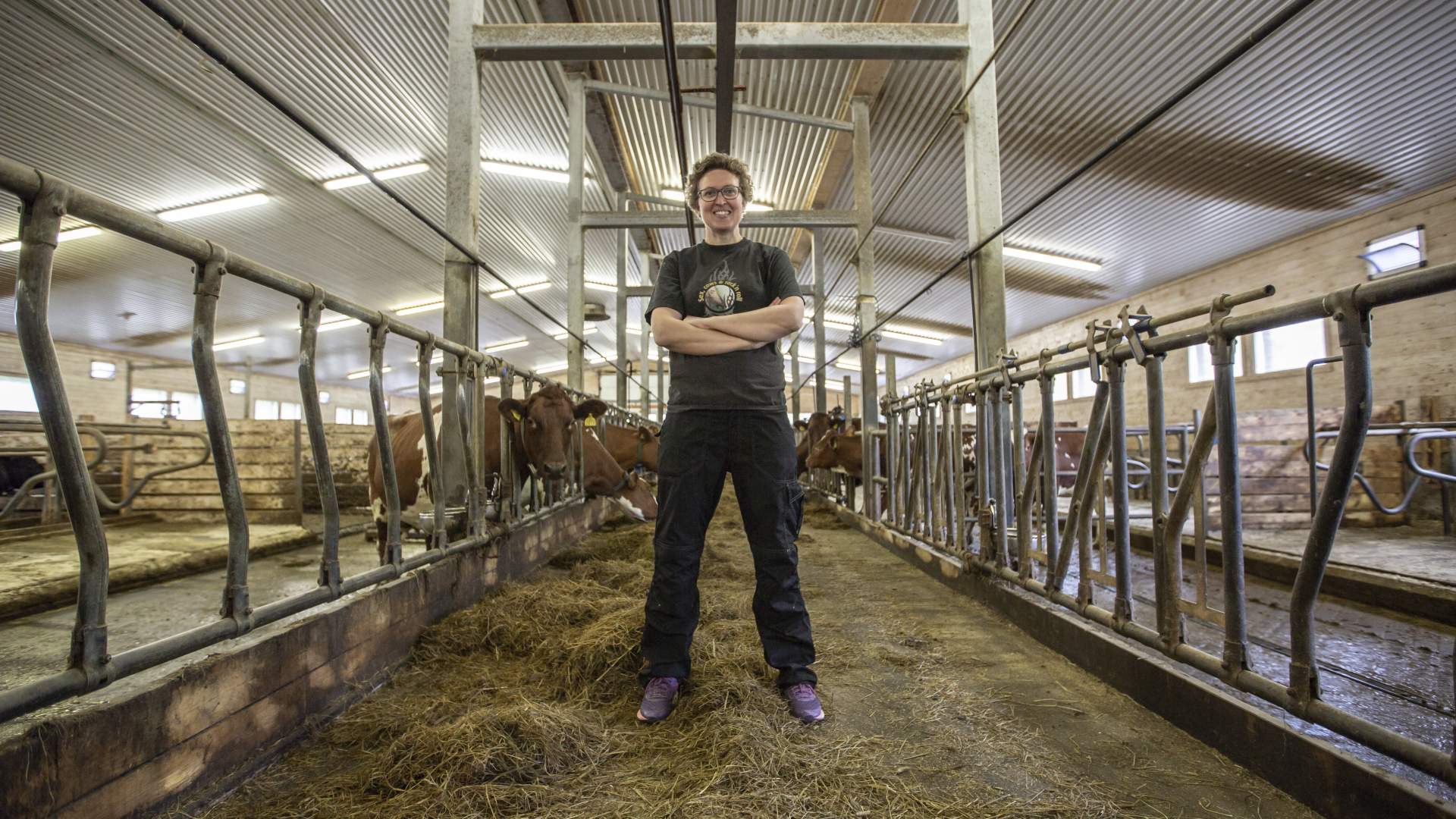 Tingvollost farm shop