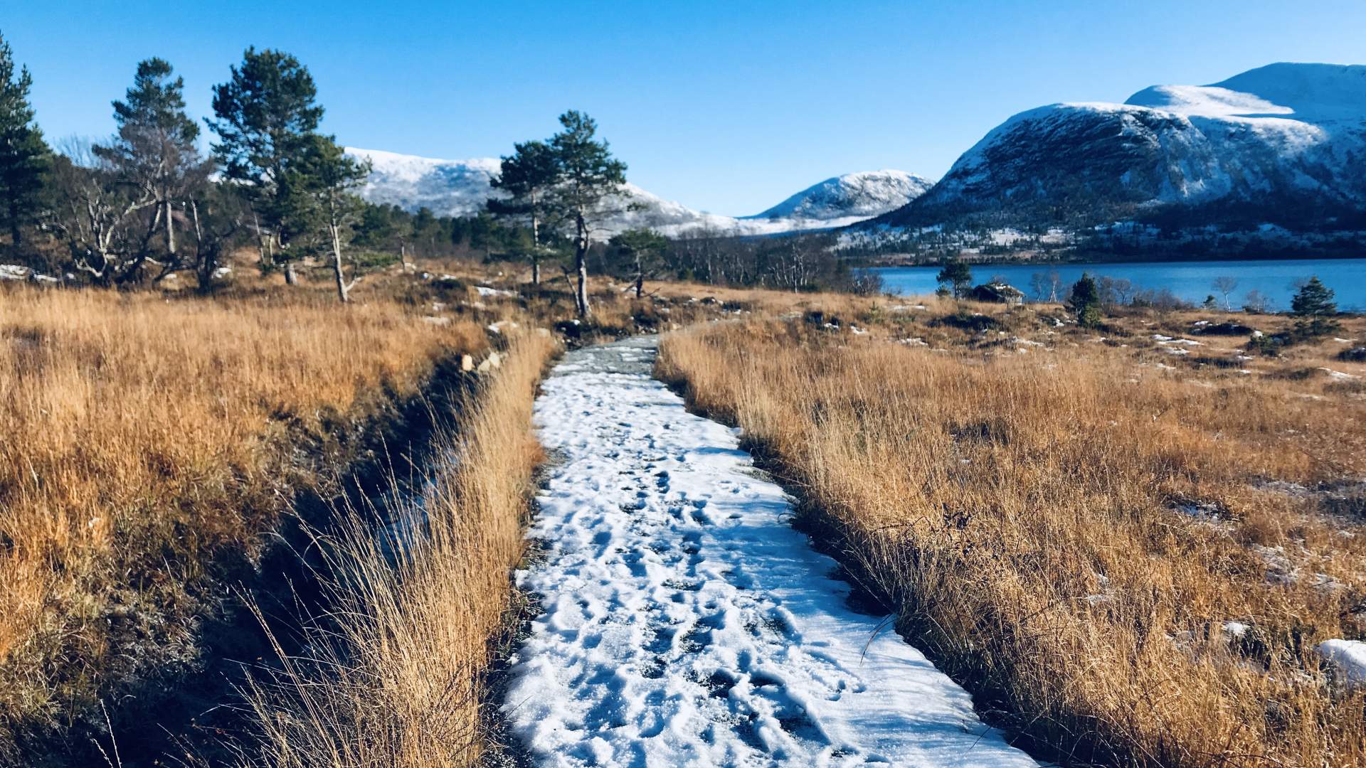 Workation i Romsdalen - kombiner jobb og naturopplevelser med bortekontor