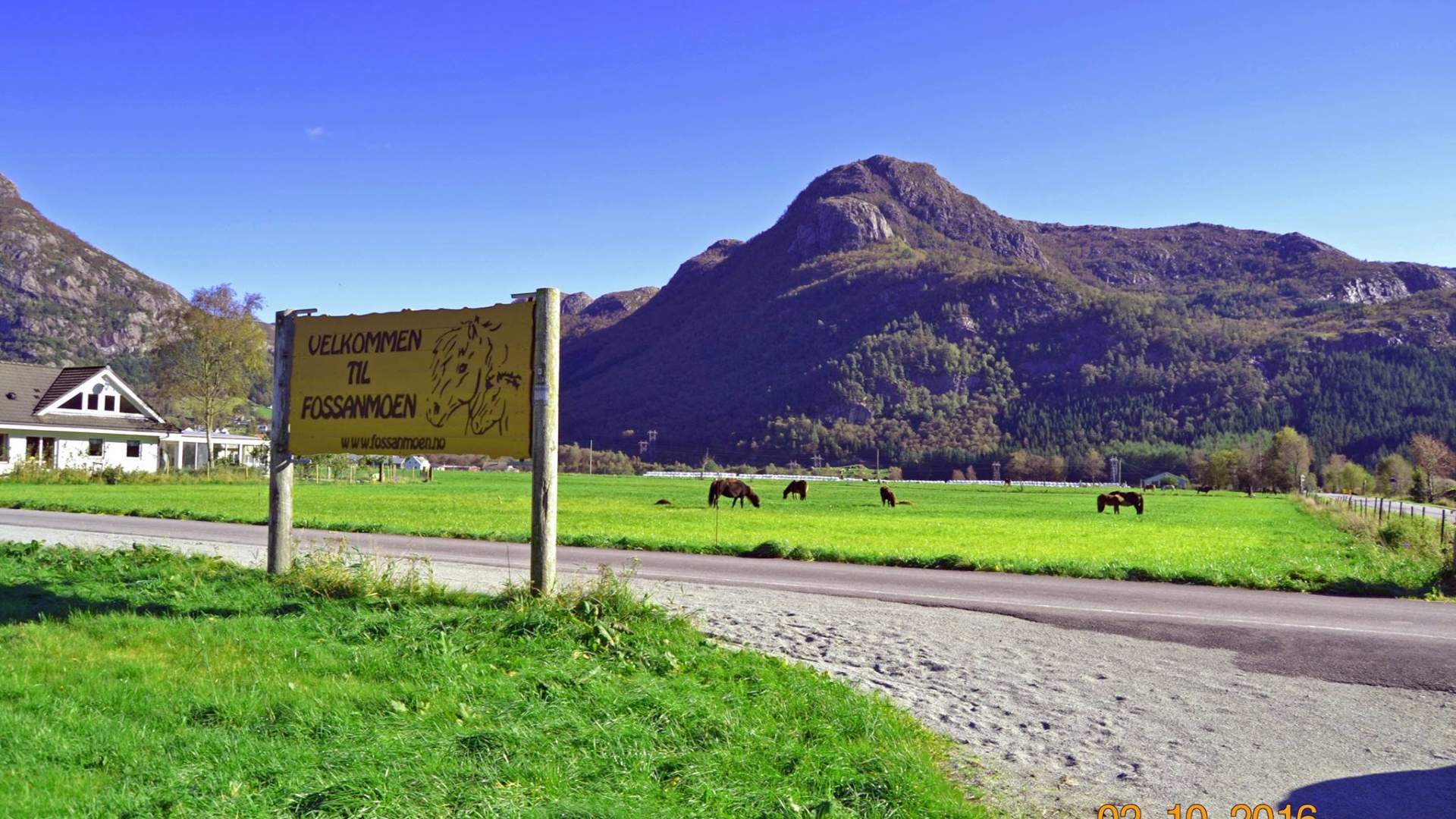 Stay at Fossanmoen Icelandic horse centre, close to the Lysefjord