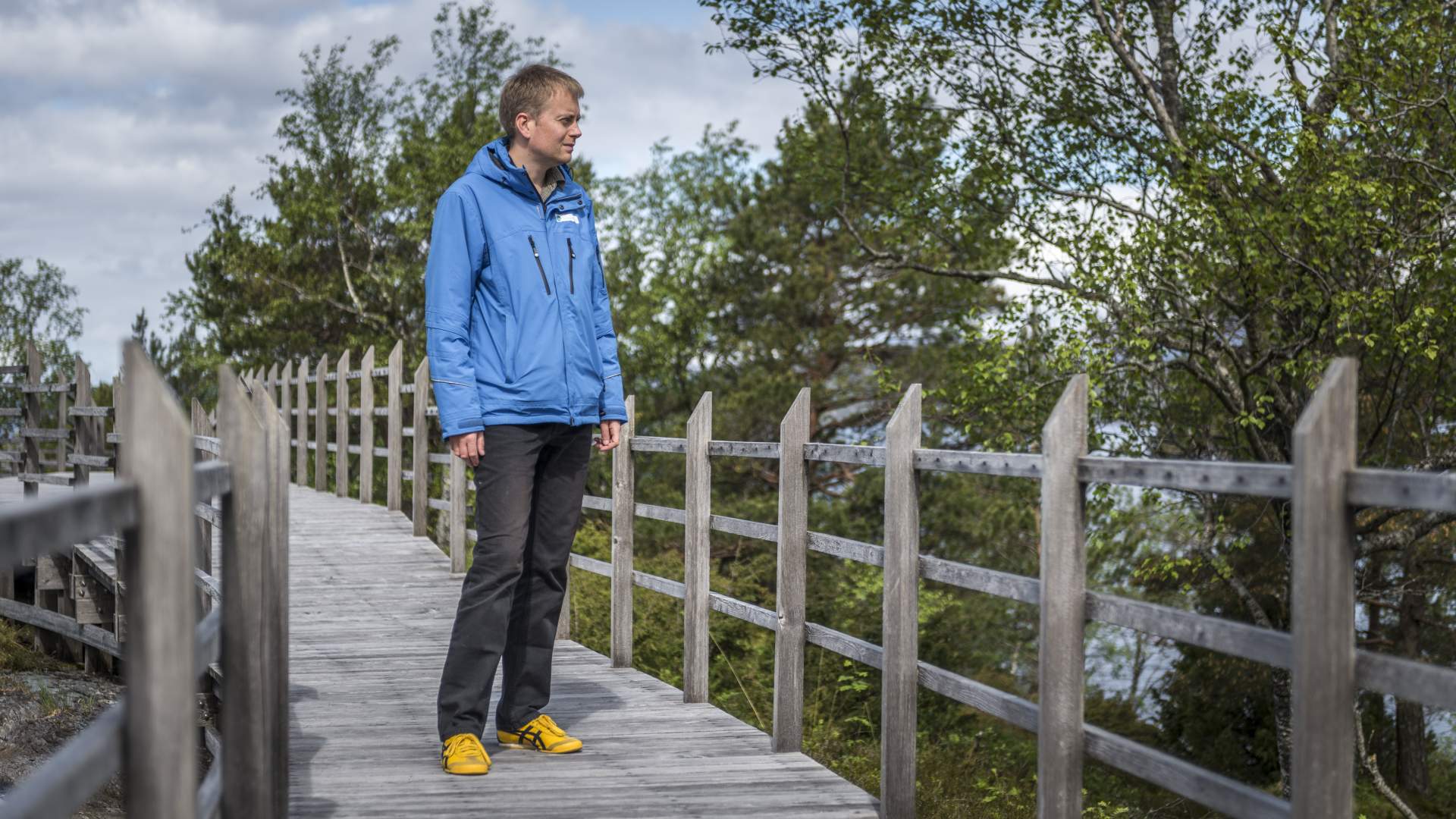 Ausevika Helleristningsfelt