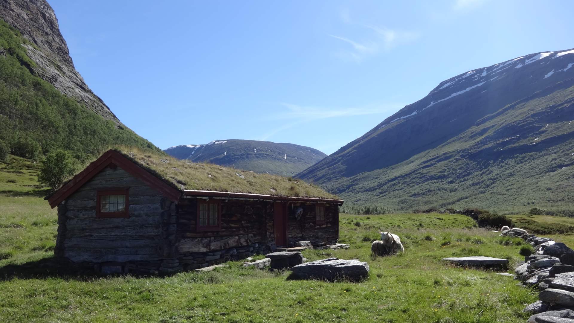Dovrefjell-Sunndalsfjella Nasjonalpark
